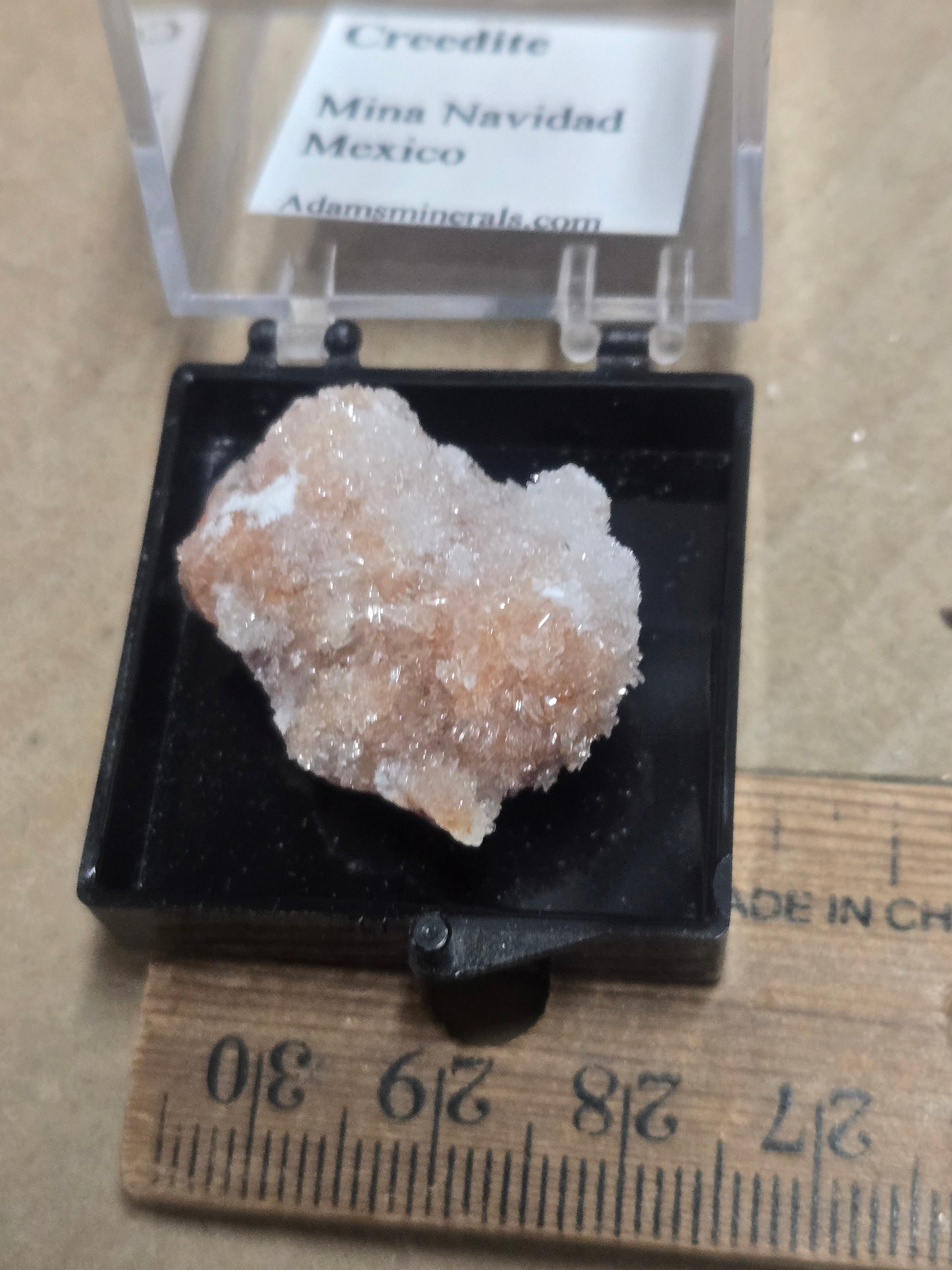 Creedite