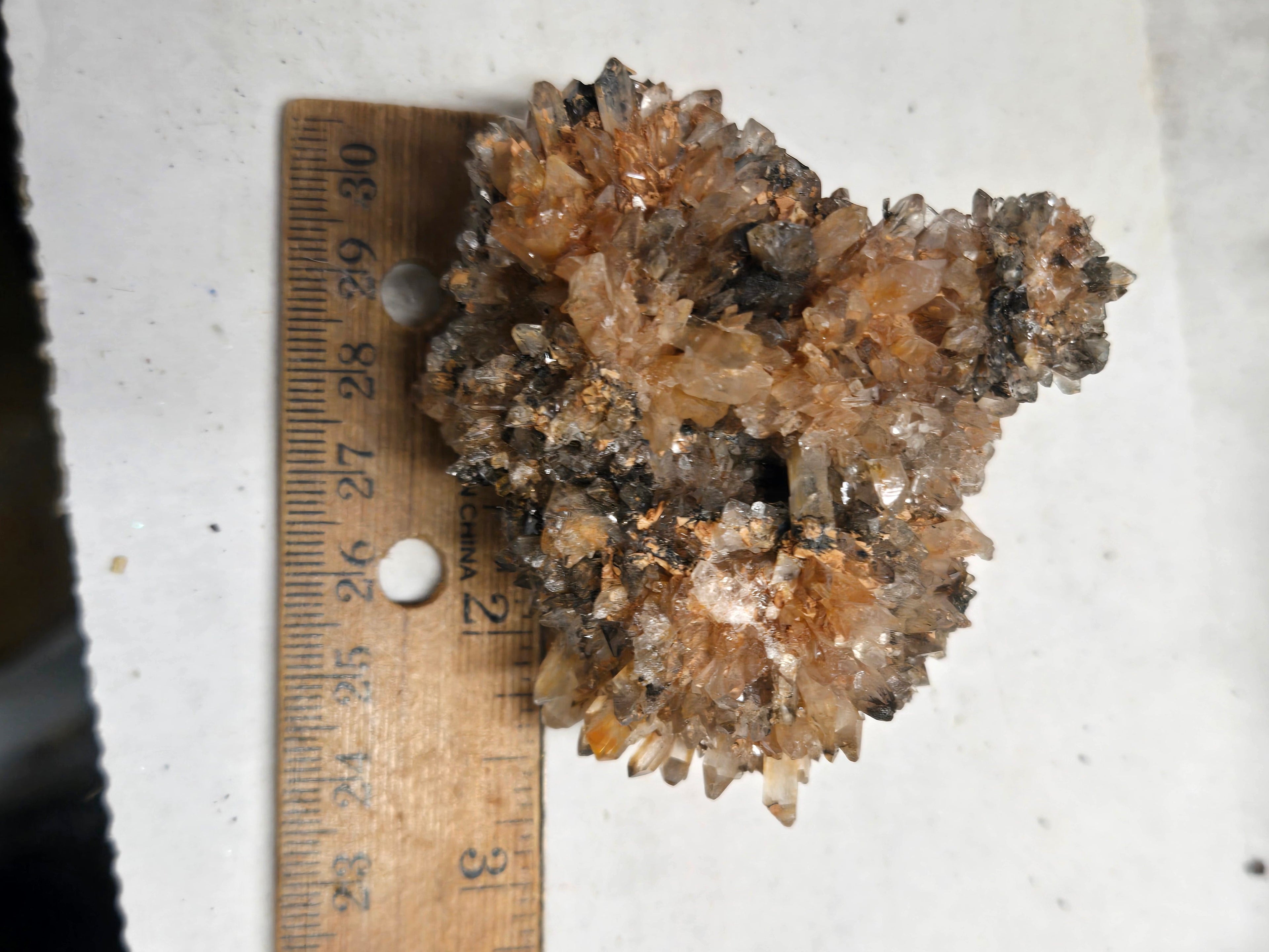 Creedite