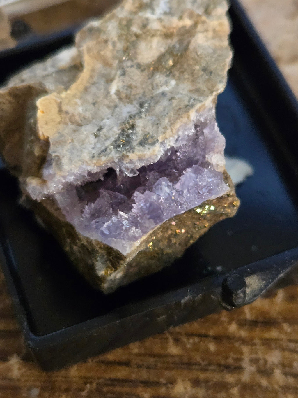 Creedite