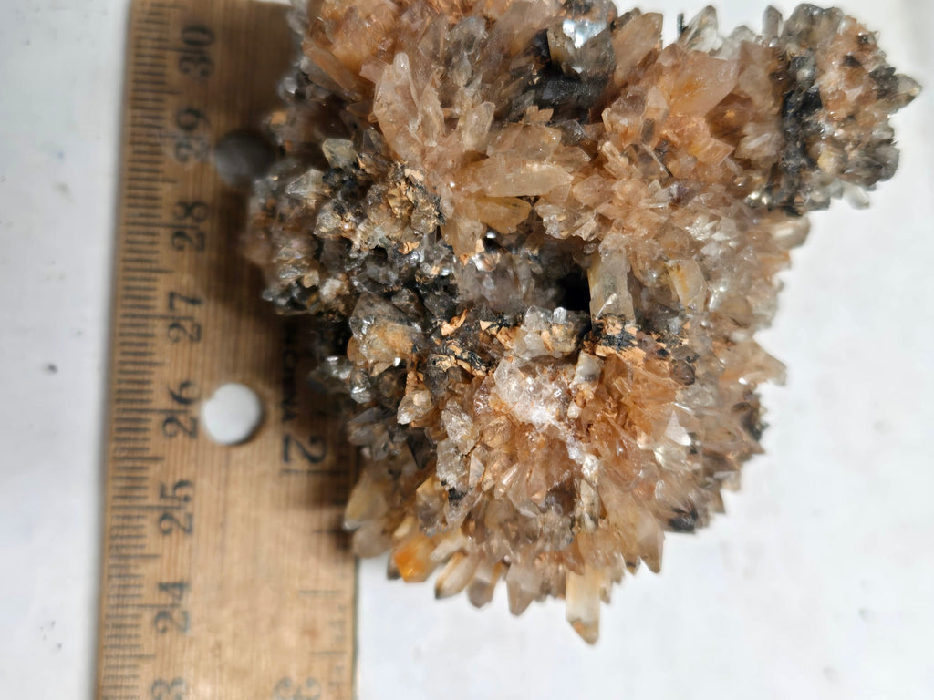 Creedite