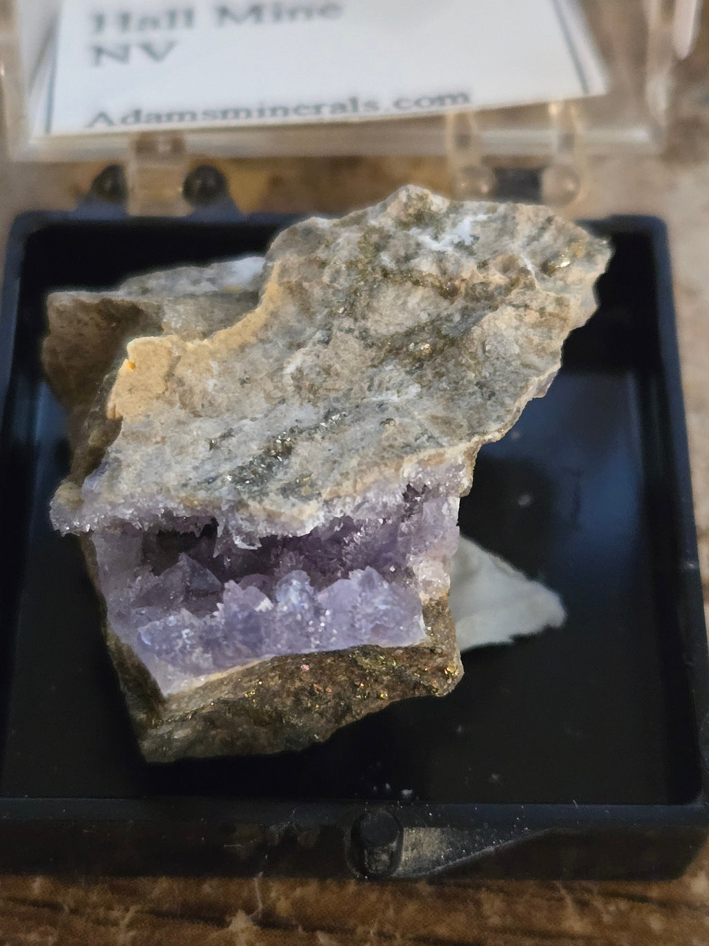Creedite