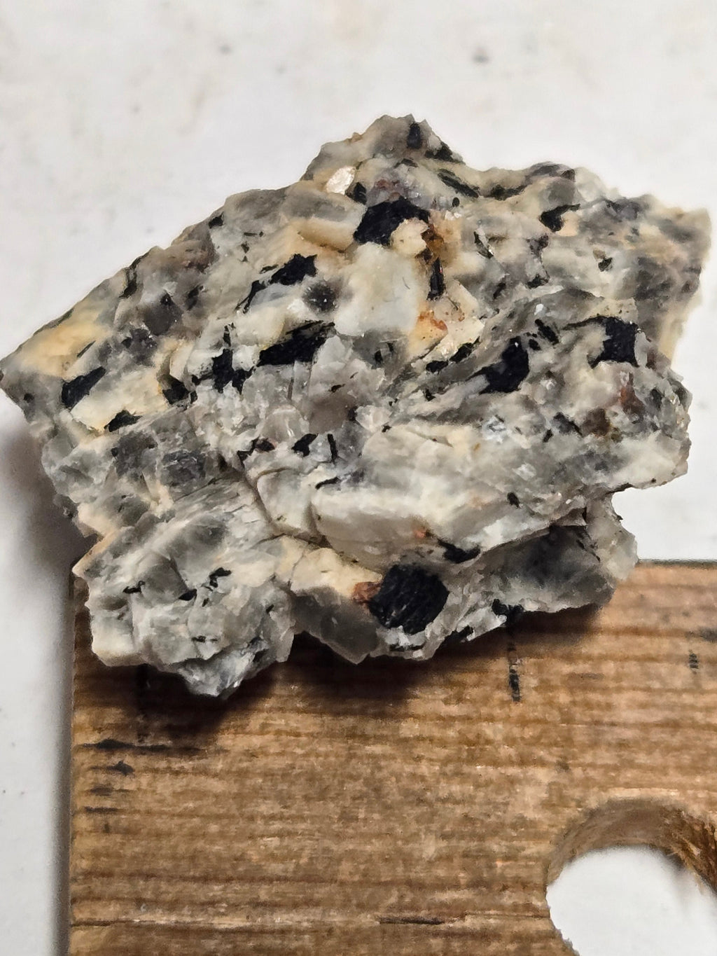 Dalyite Specimen
