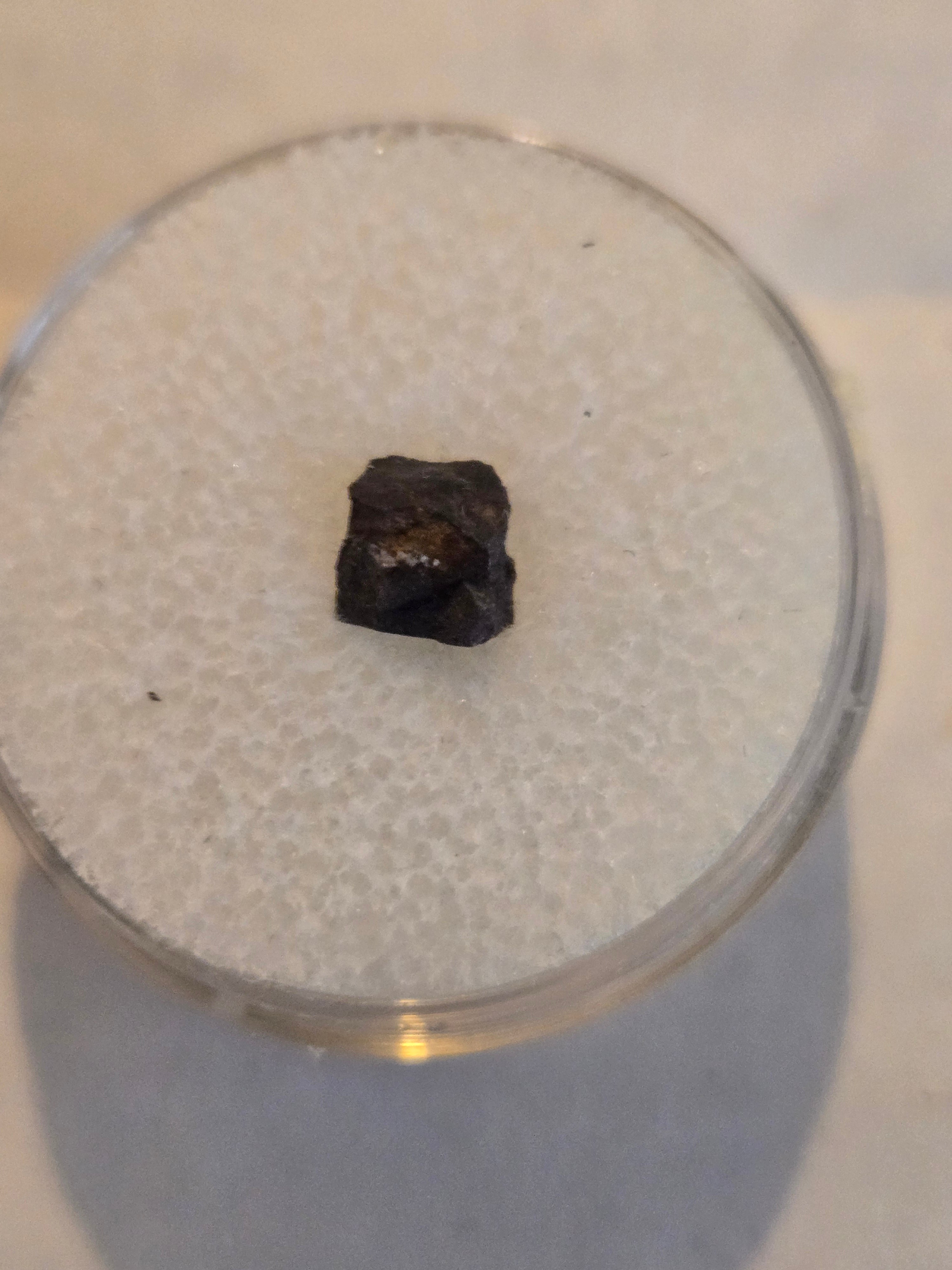 Dar al Gani 107 meteorite specimen