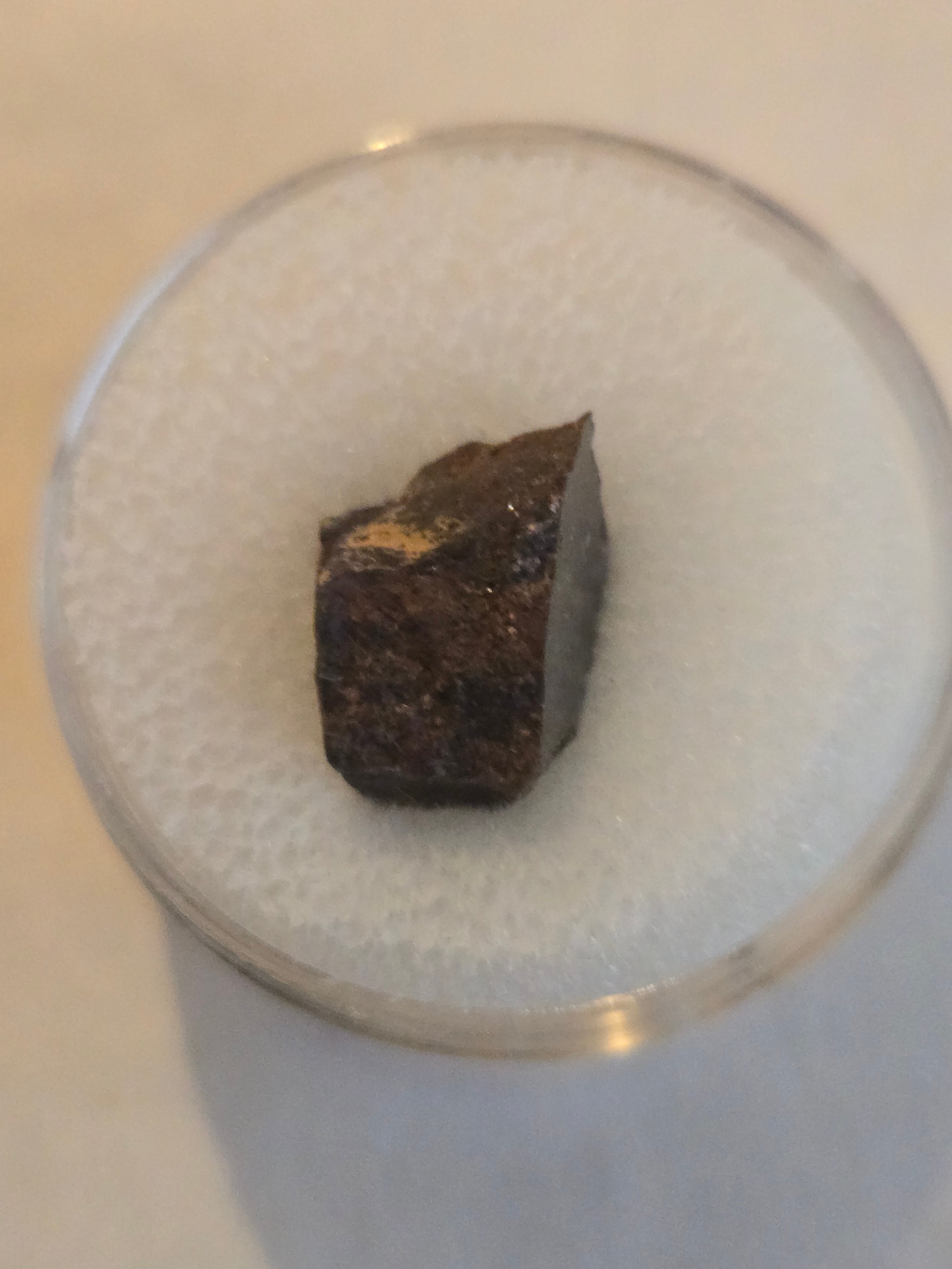 Dar al Gani 155 meteorite specimen