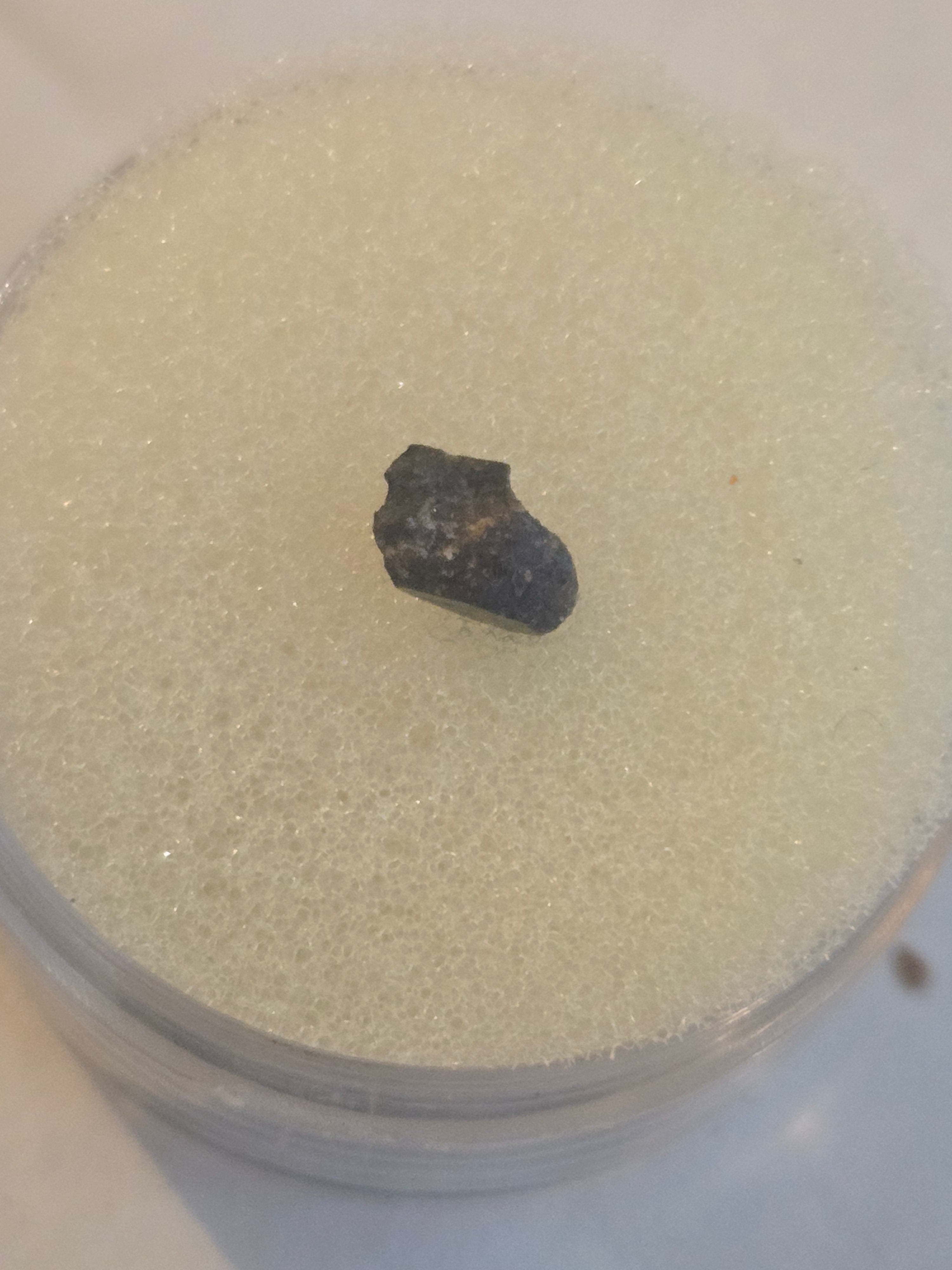 Davy B Meteorite Specimen