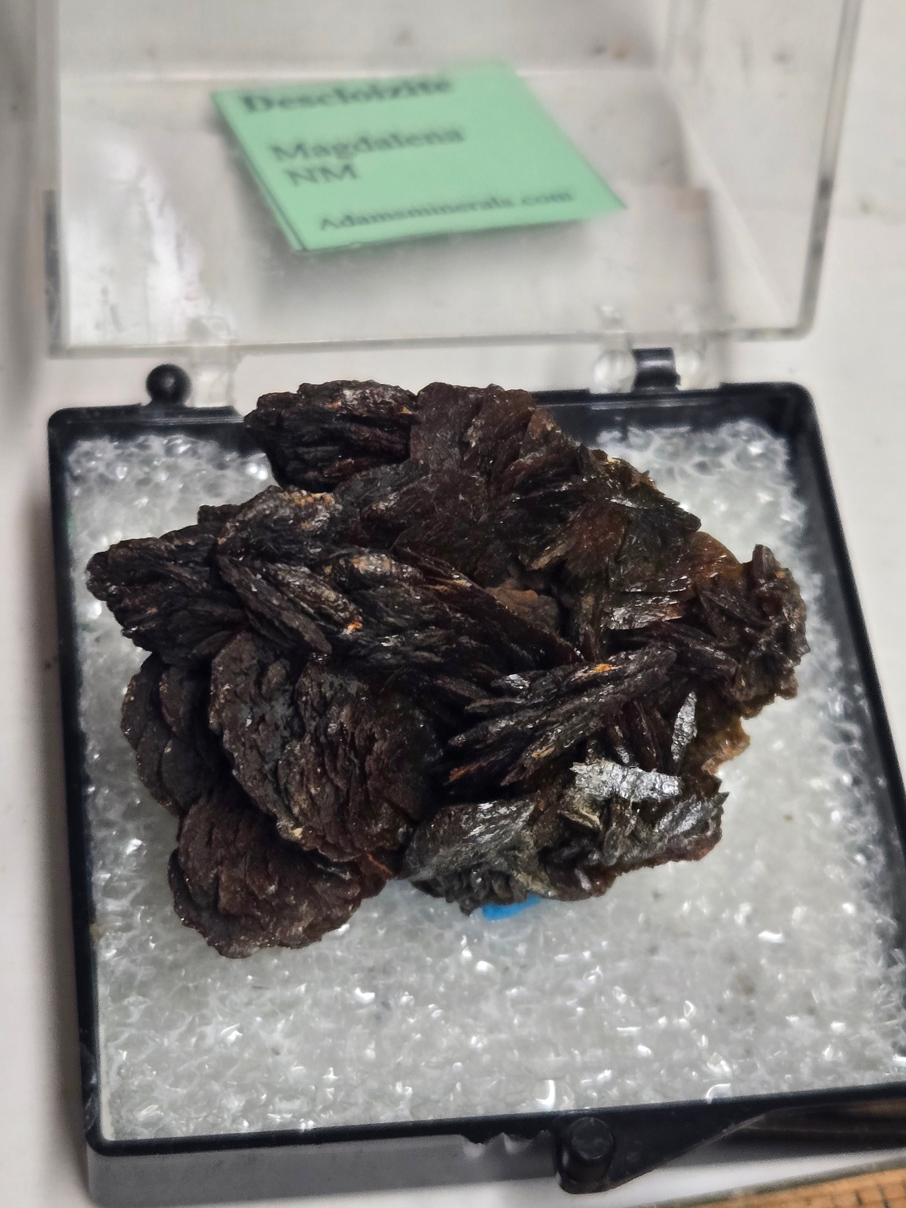 Descloizite crystals