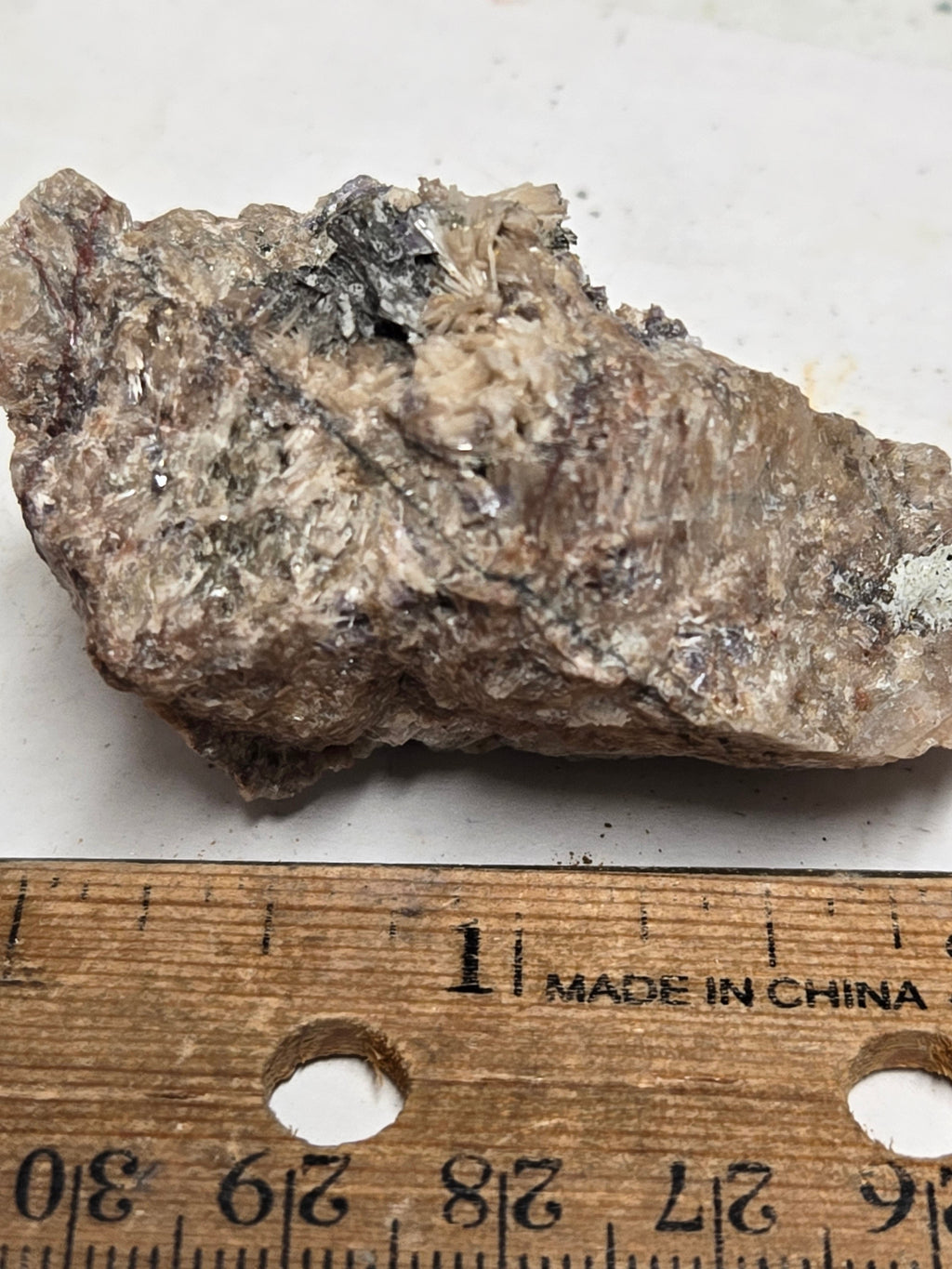 Diaspore Specimen