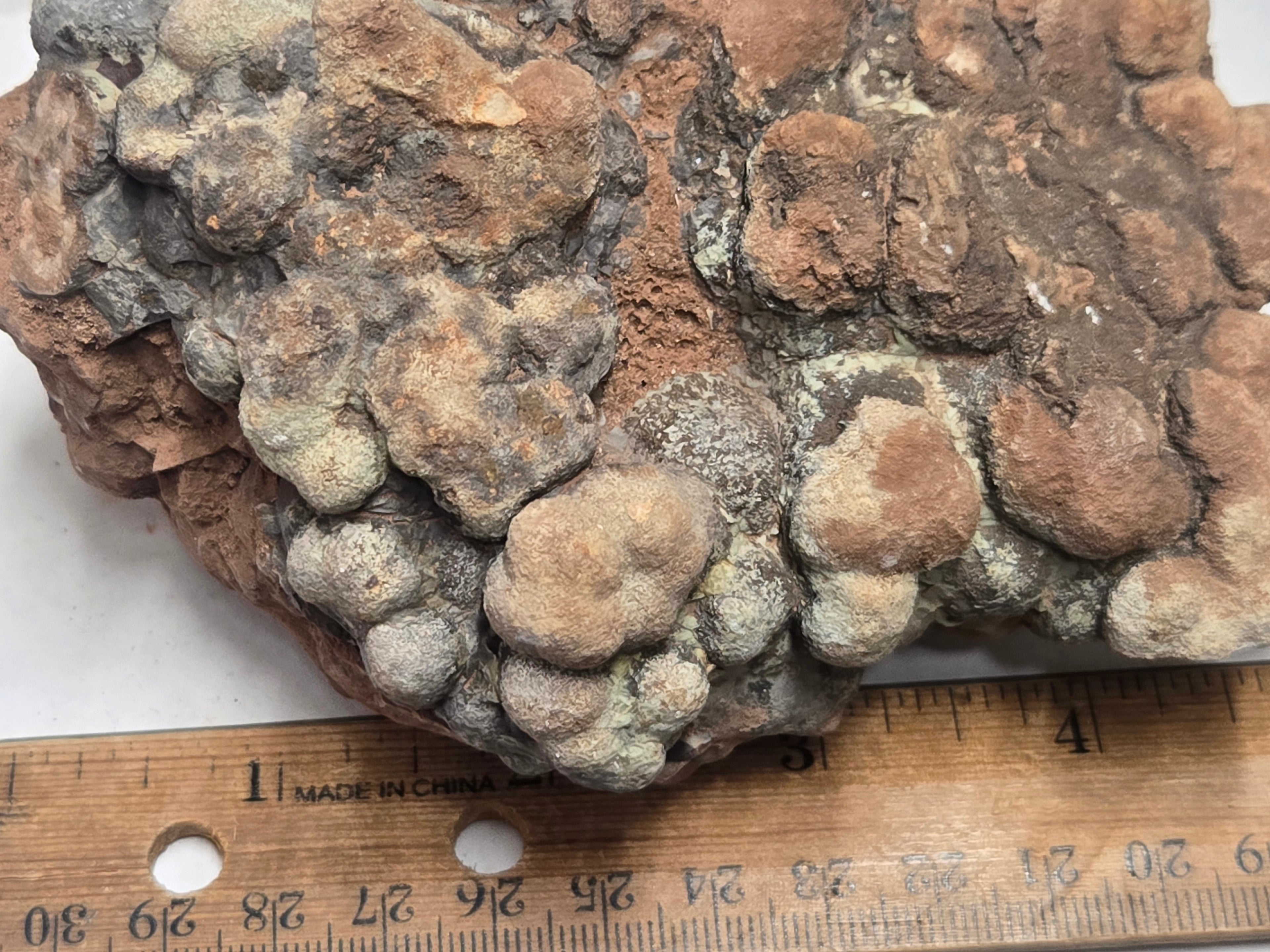 Dino poop