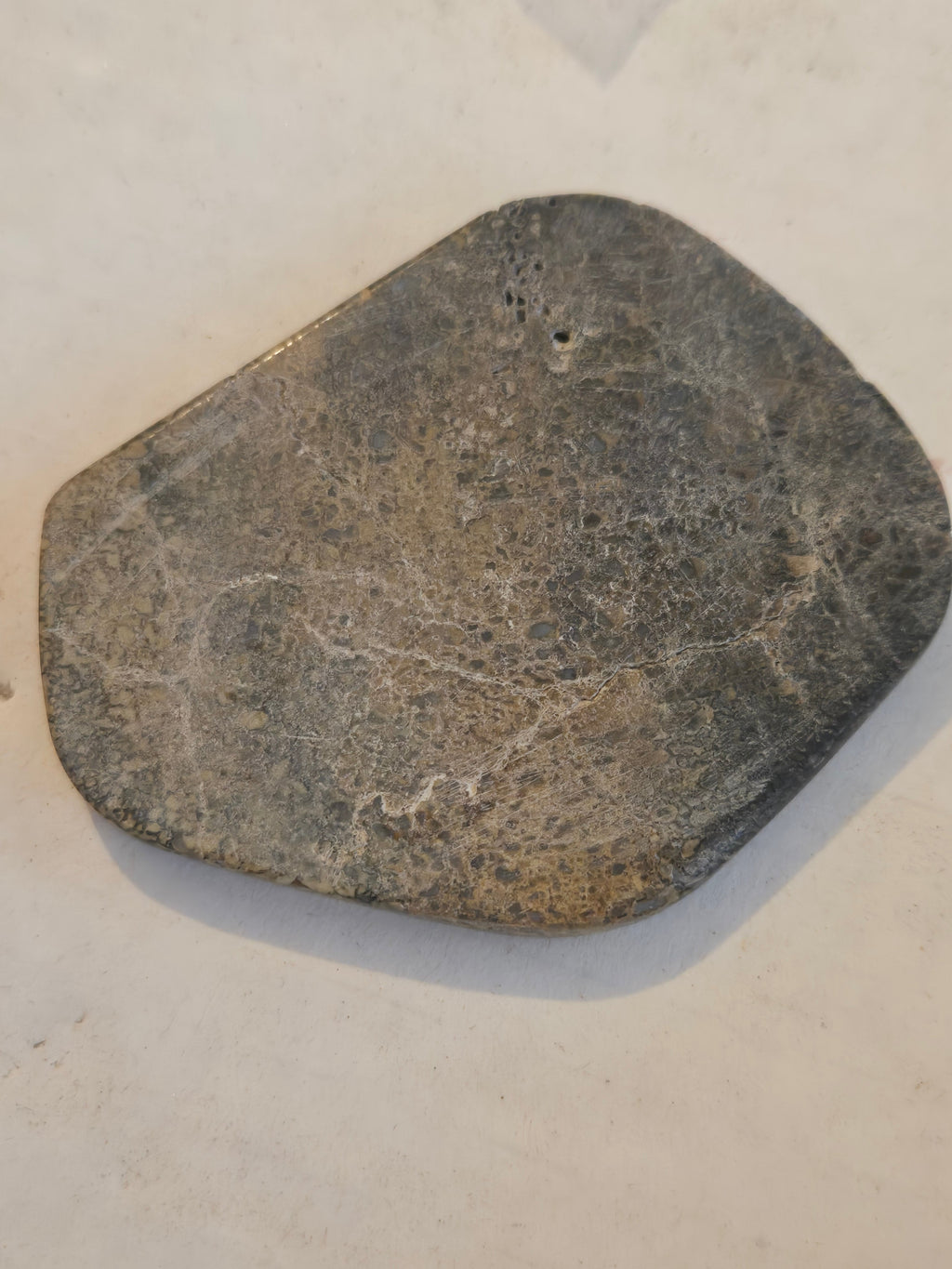 Dinosaur bone
