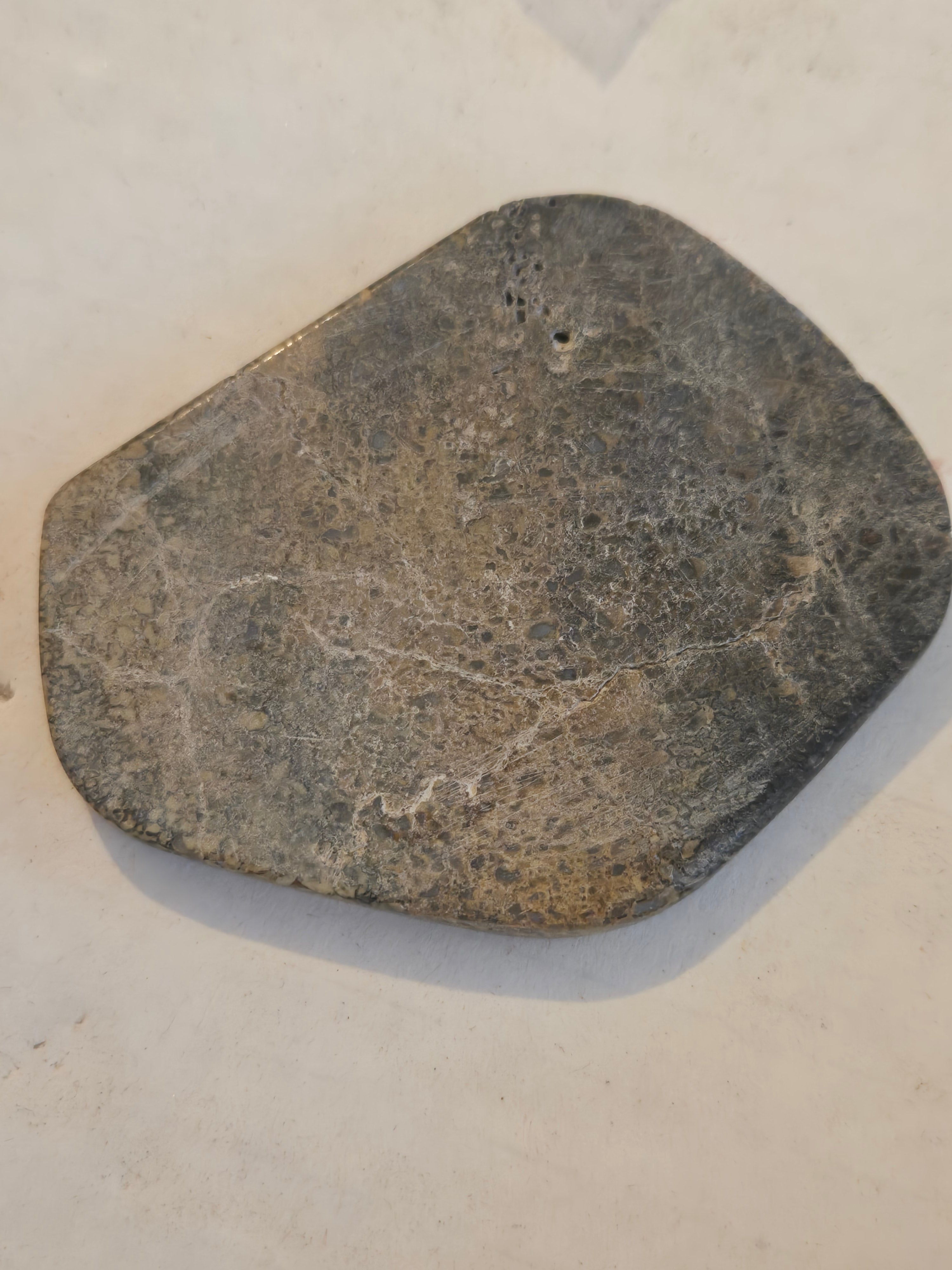 Dinosaur bone