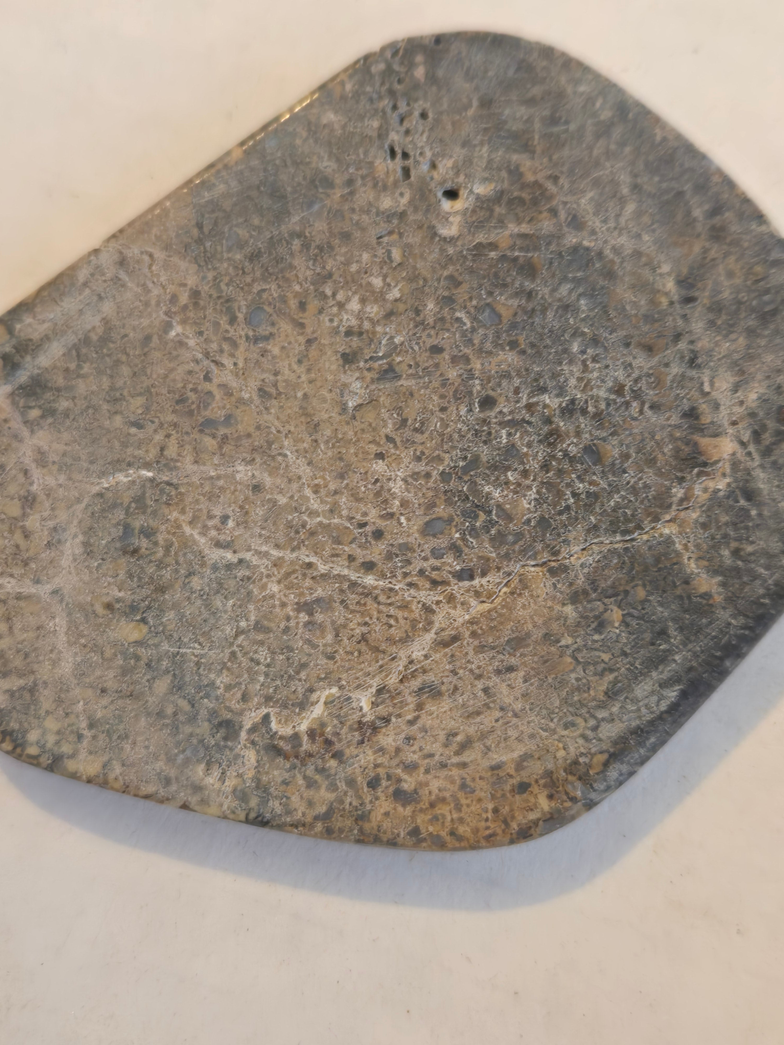 Dinosaur bone