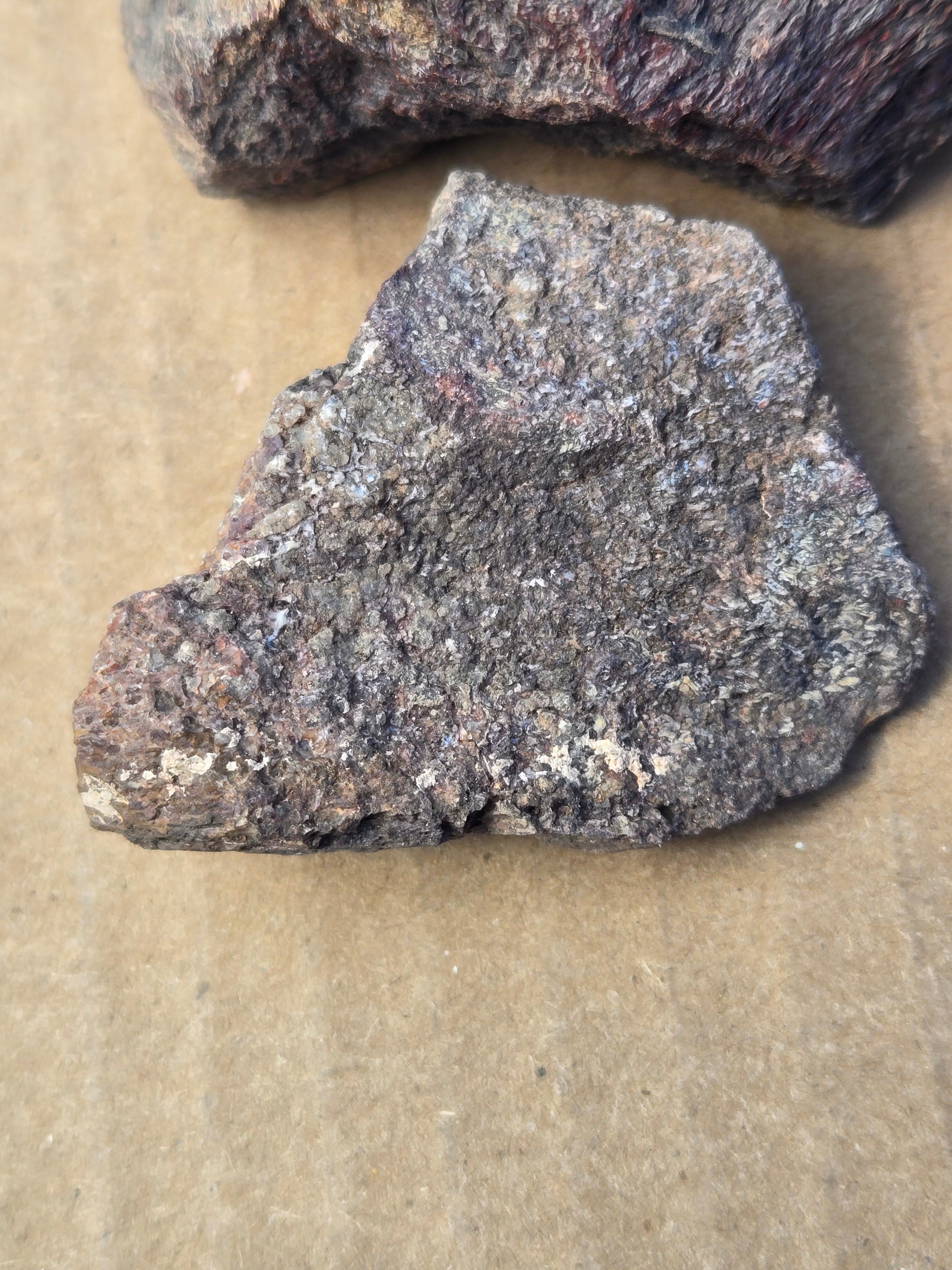 Dinosaur bone