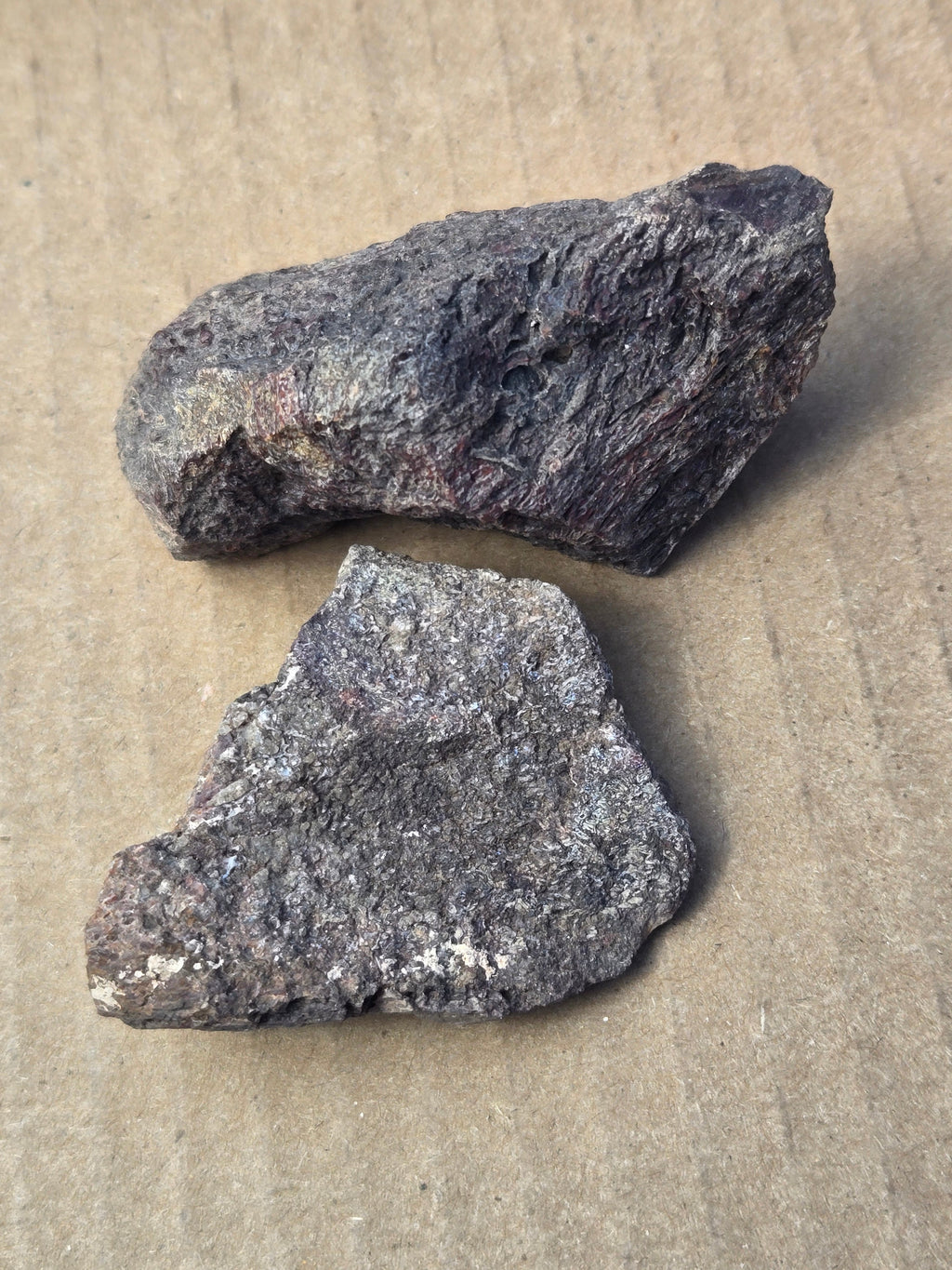 Dinosaur bone