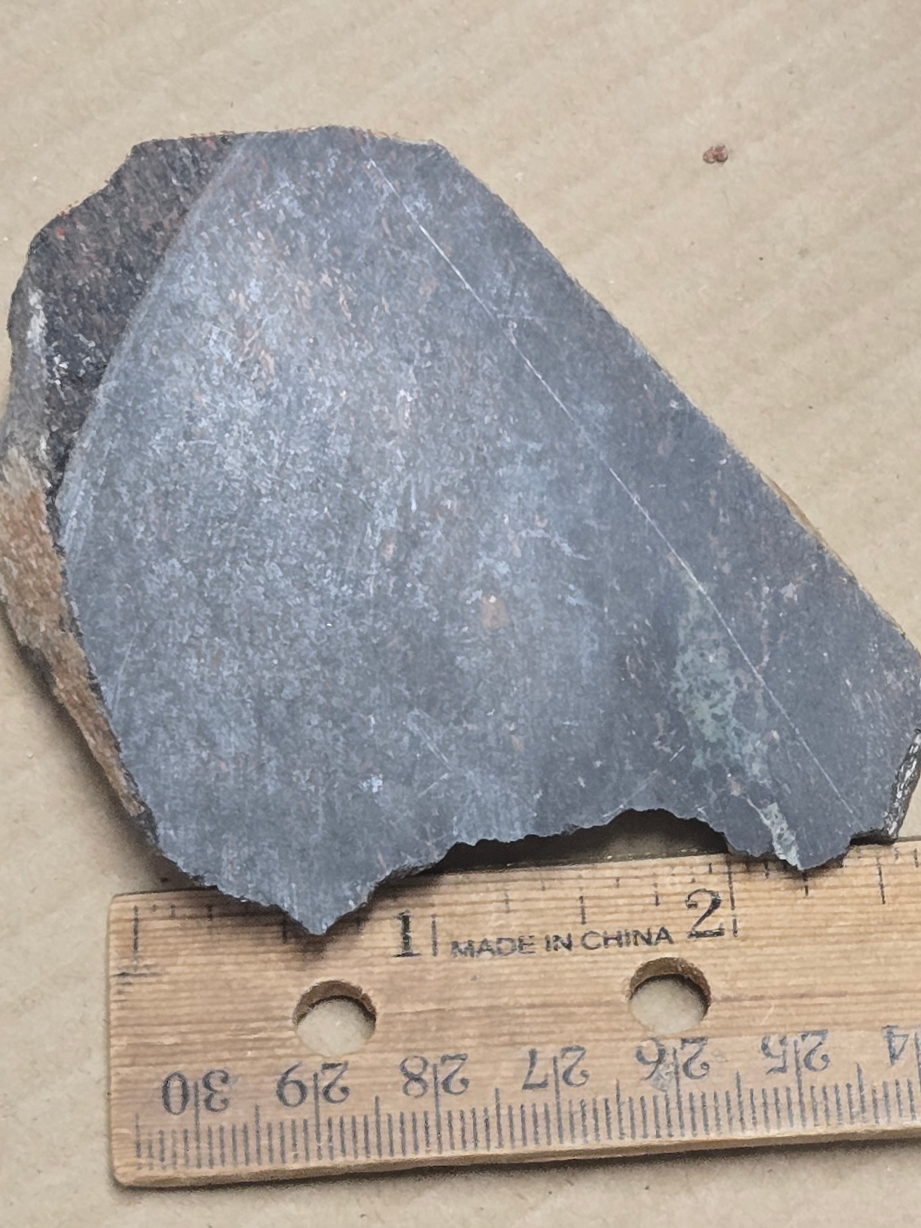 Dinosaur bone chunk