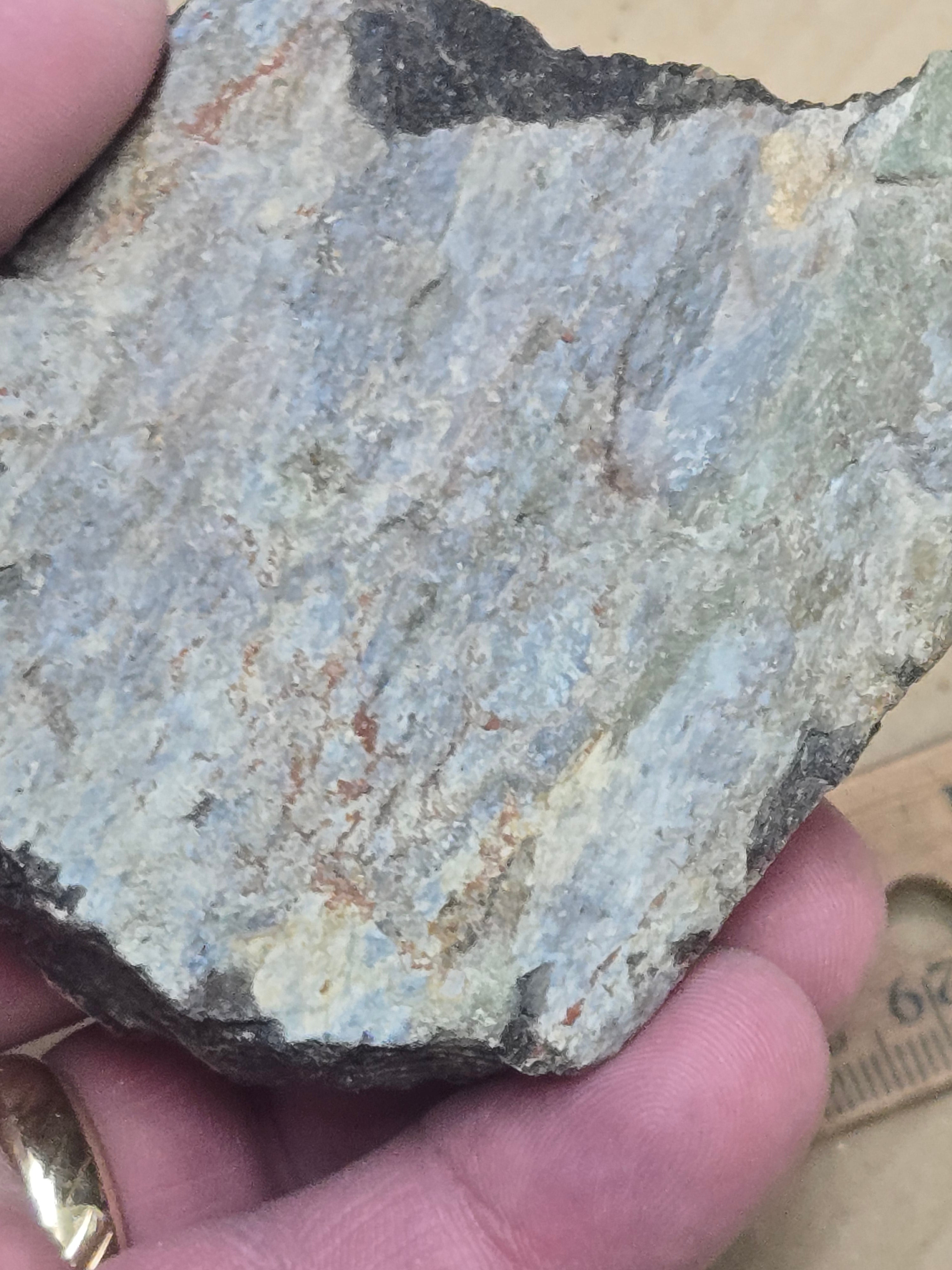Dinosaur bone chunk