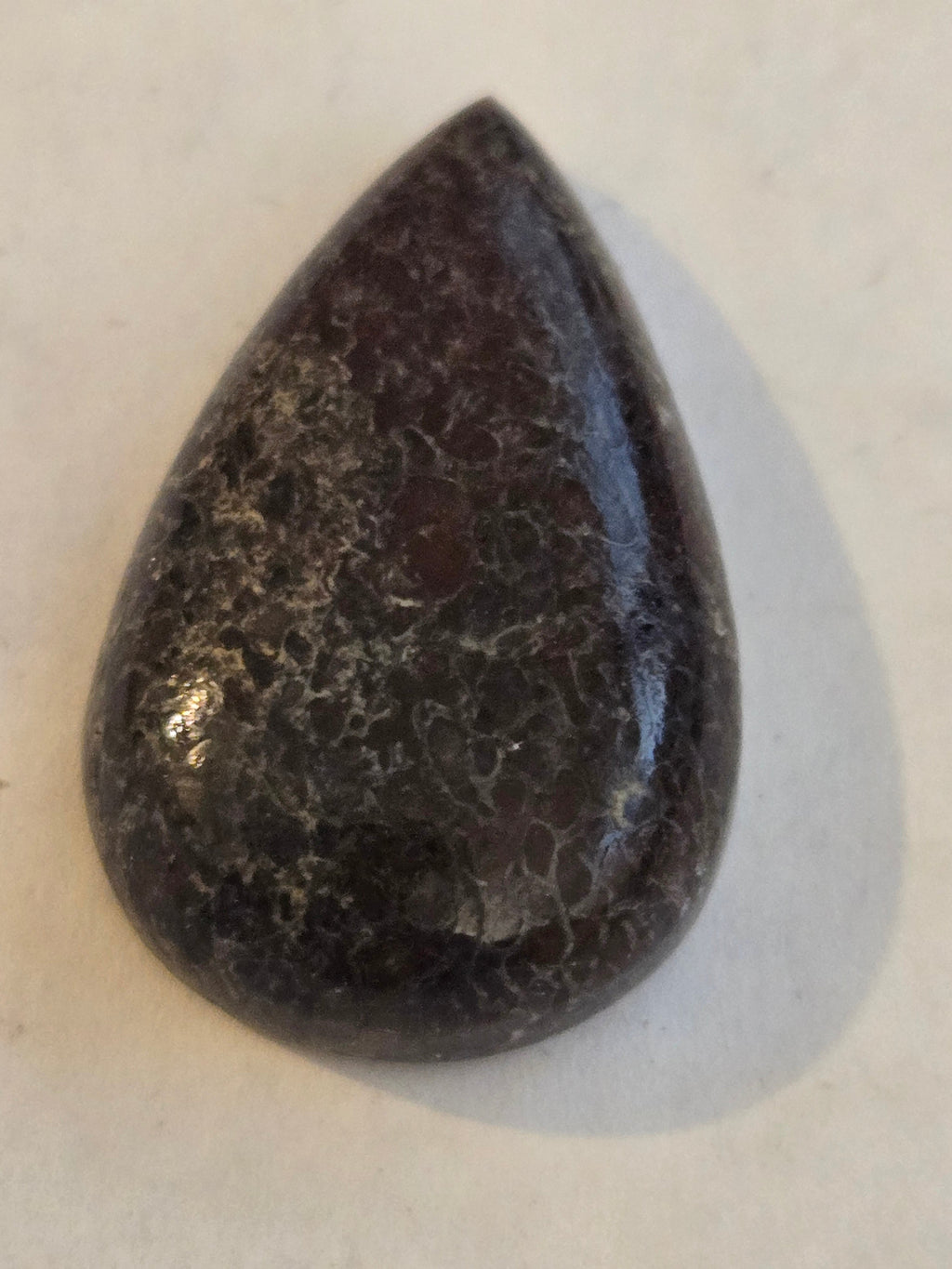 Dinosaur Bone pear Cabochon