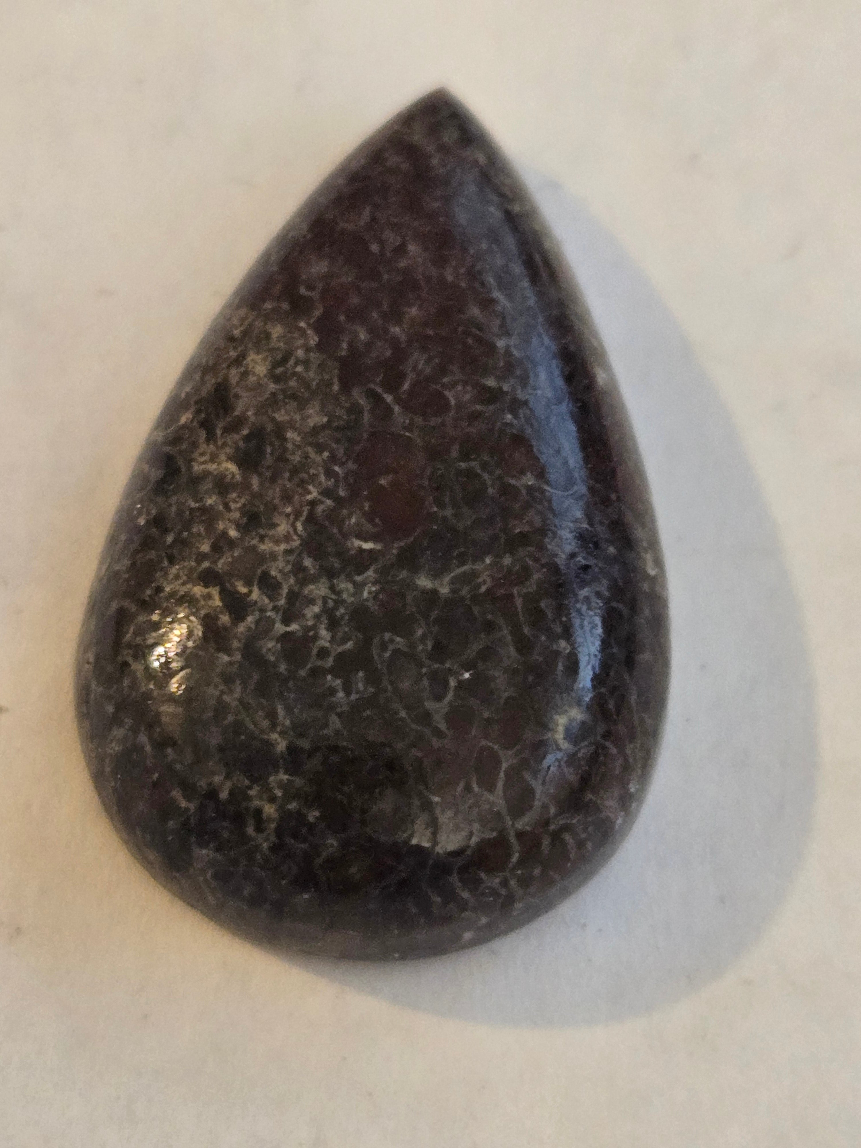 Dinosaur Bone pear Cabochon
