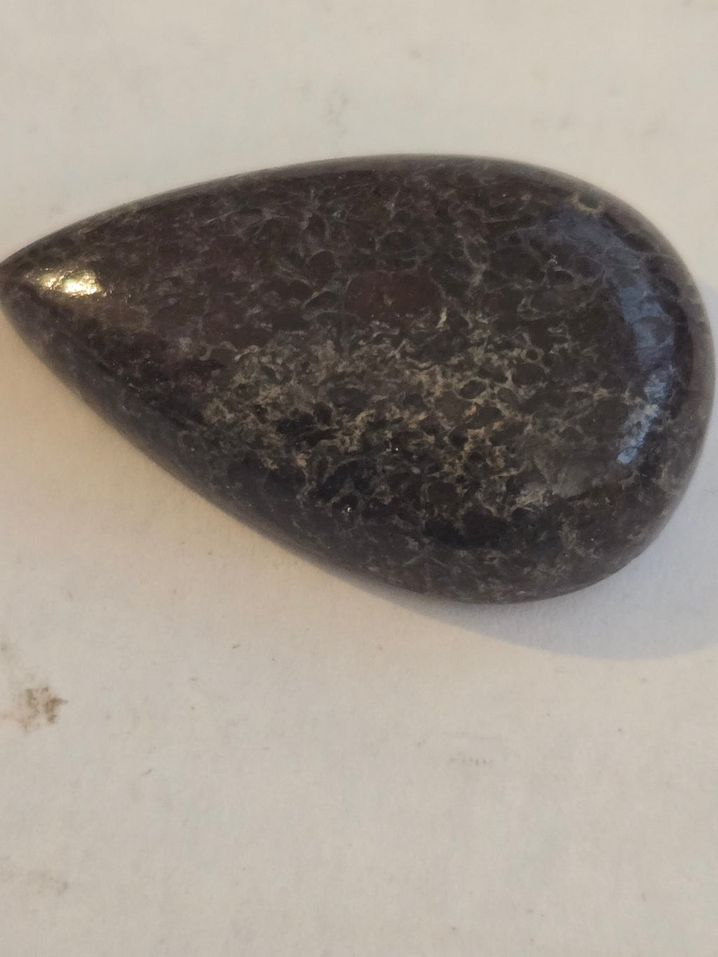 Dinosaur Bone pear Cabochon