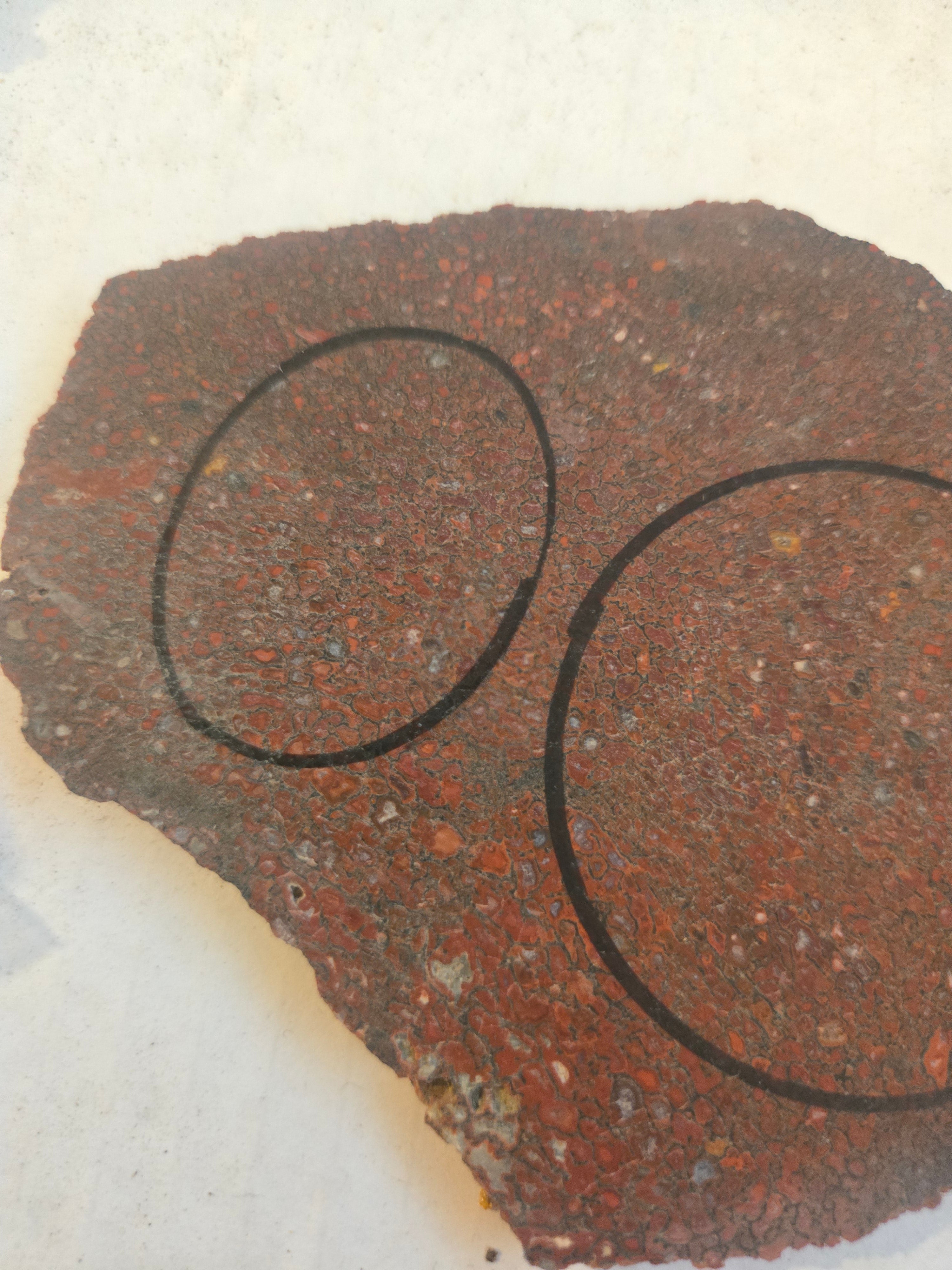 Dinosaur bone slab