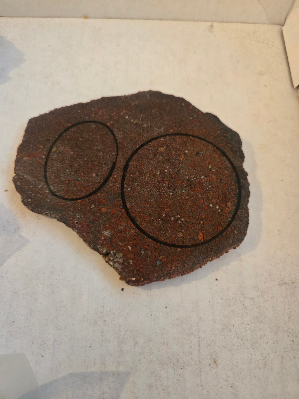 Dinosaur bone slab
