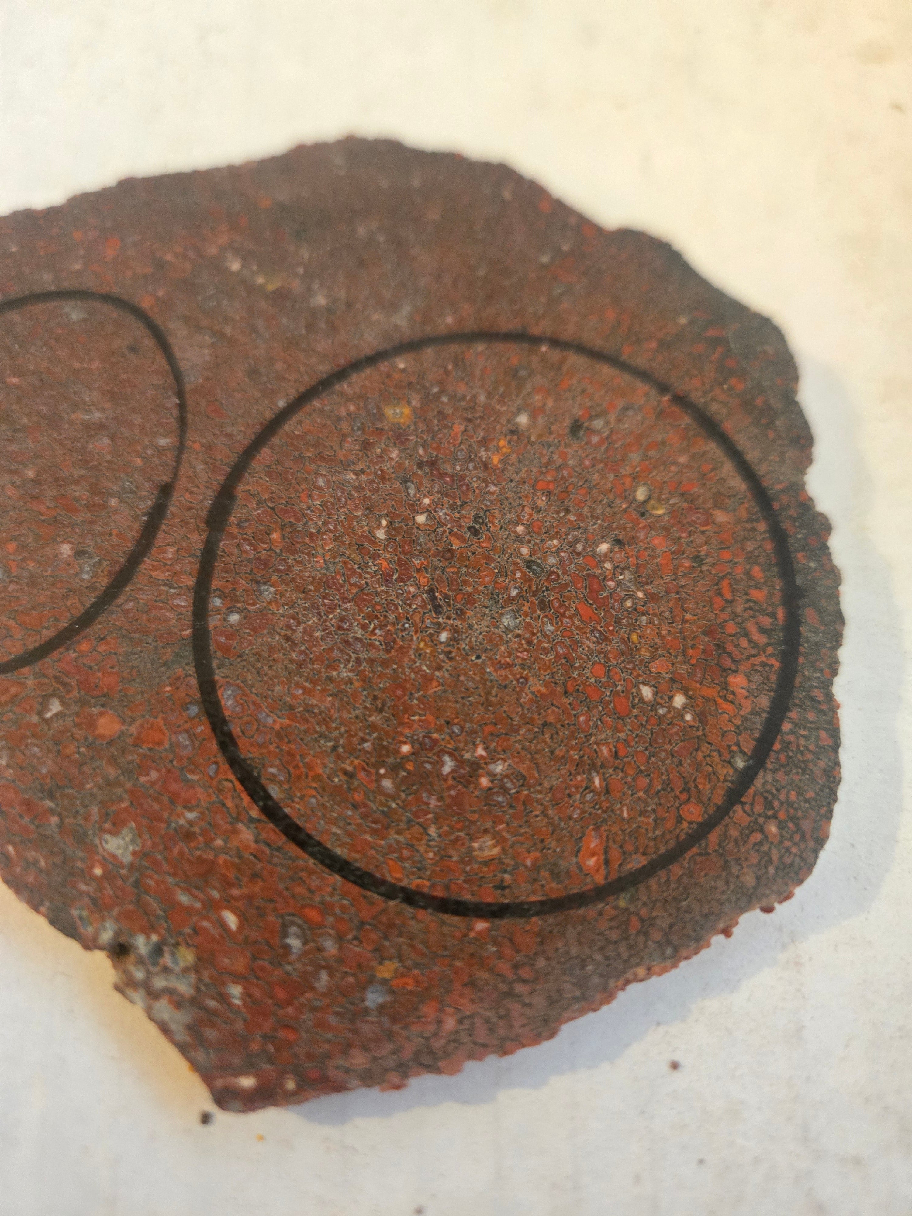 Dinosaur bone slab