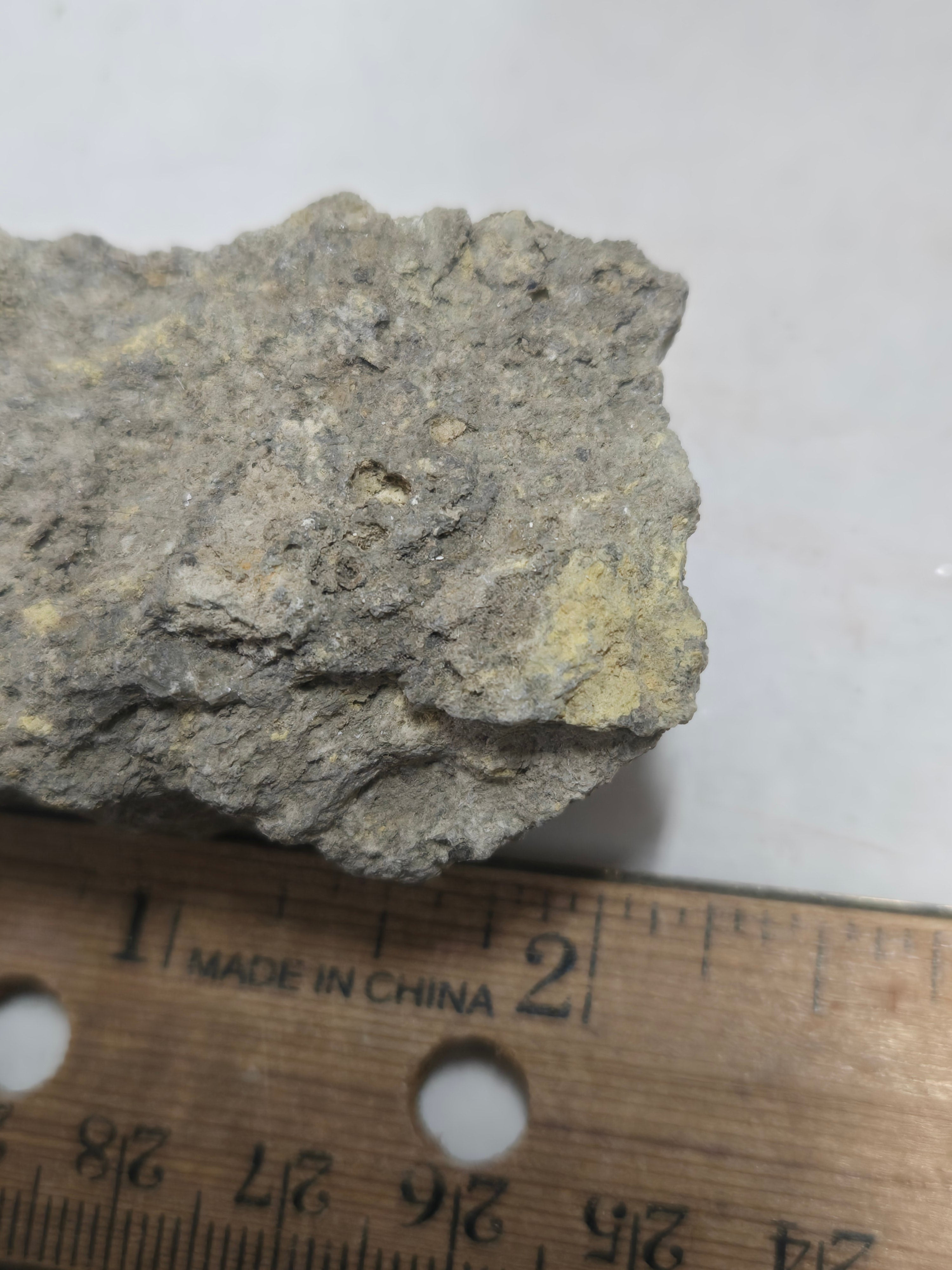 Dinosaur bone with tyuyamunite