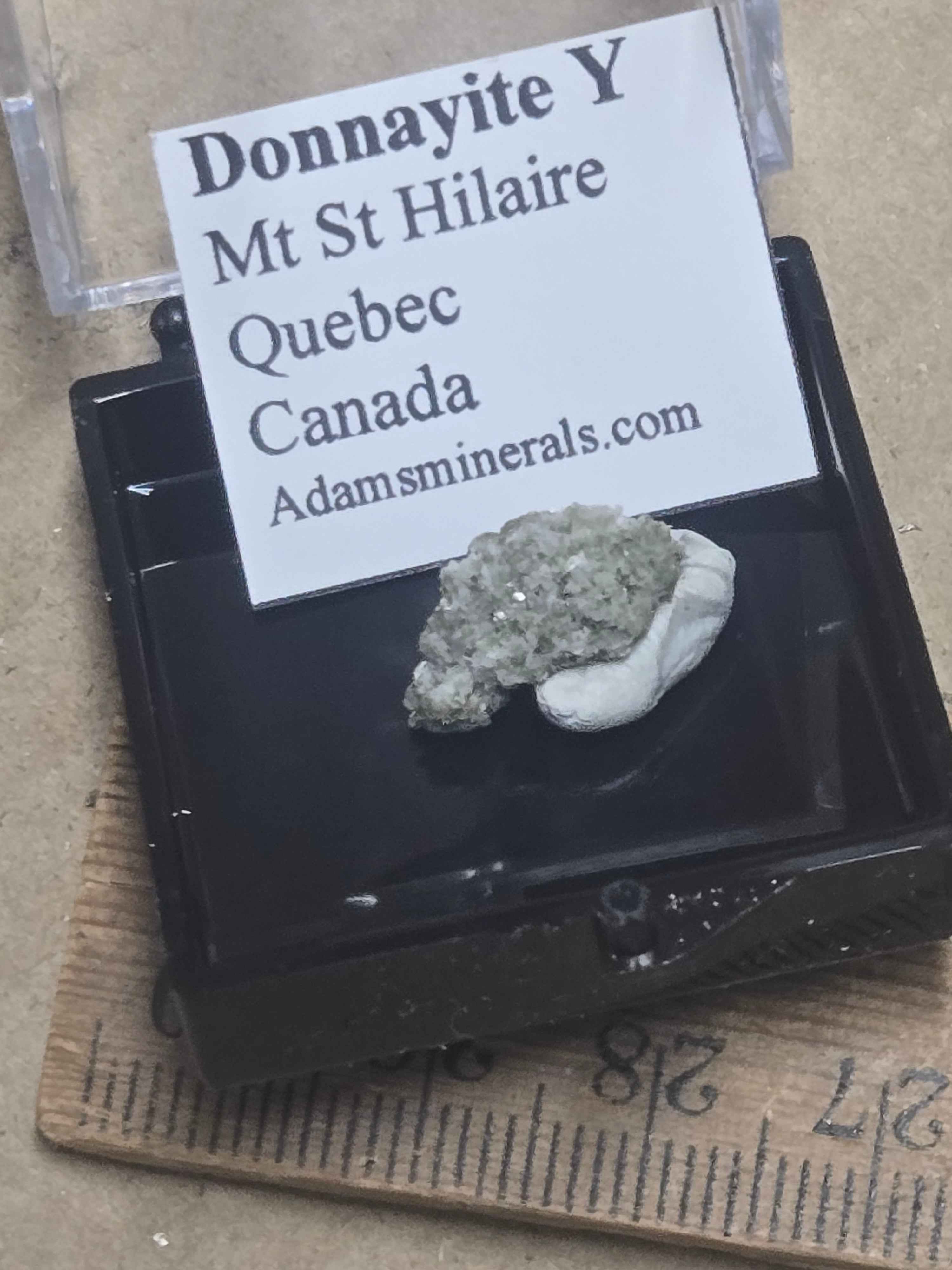 Donnayite Y