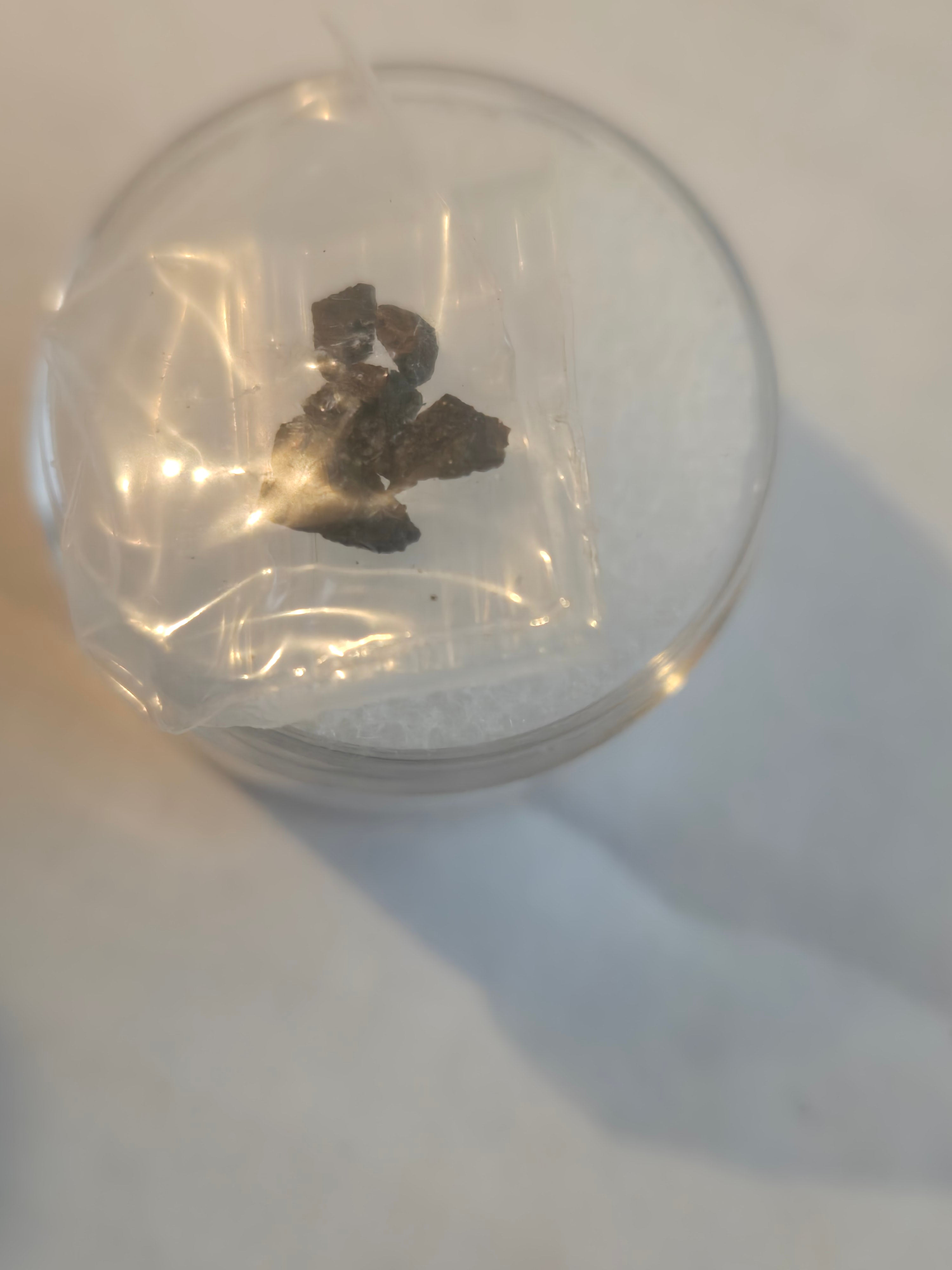 Eads h4 chondrite 1975 Colorado Meteorite Specimen