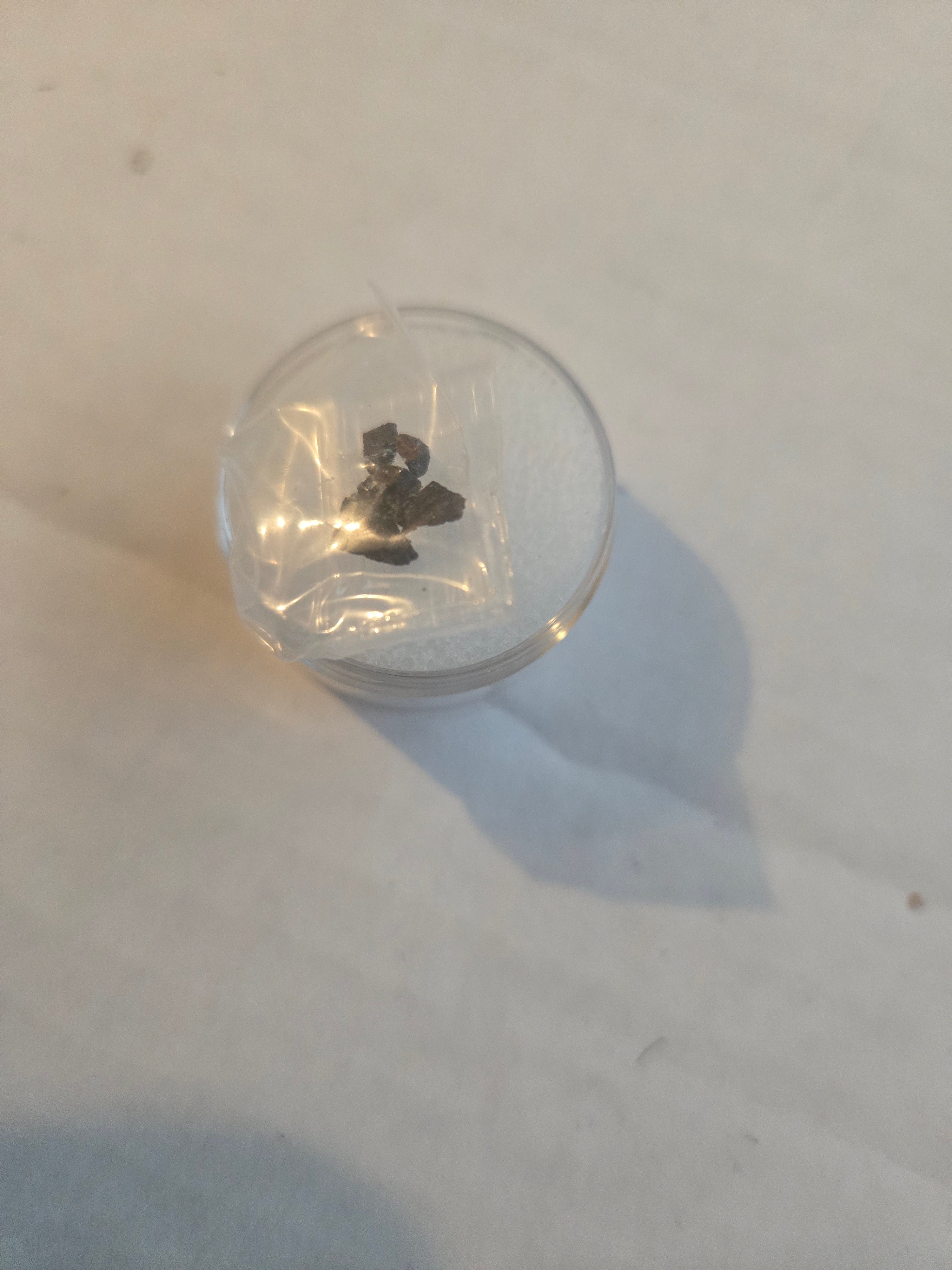 Eads h4 chondrite 1975 Colorado Meteorite Specimen