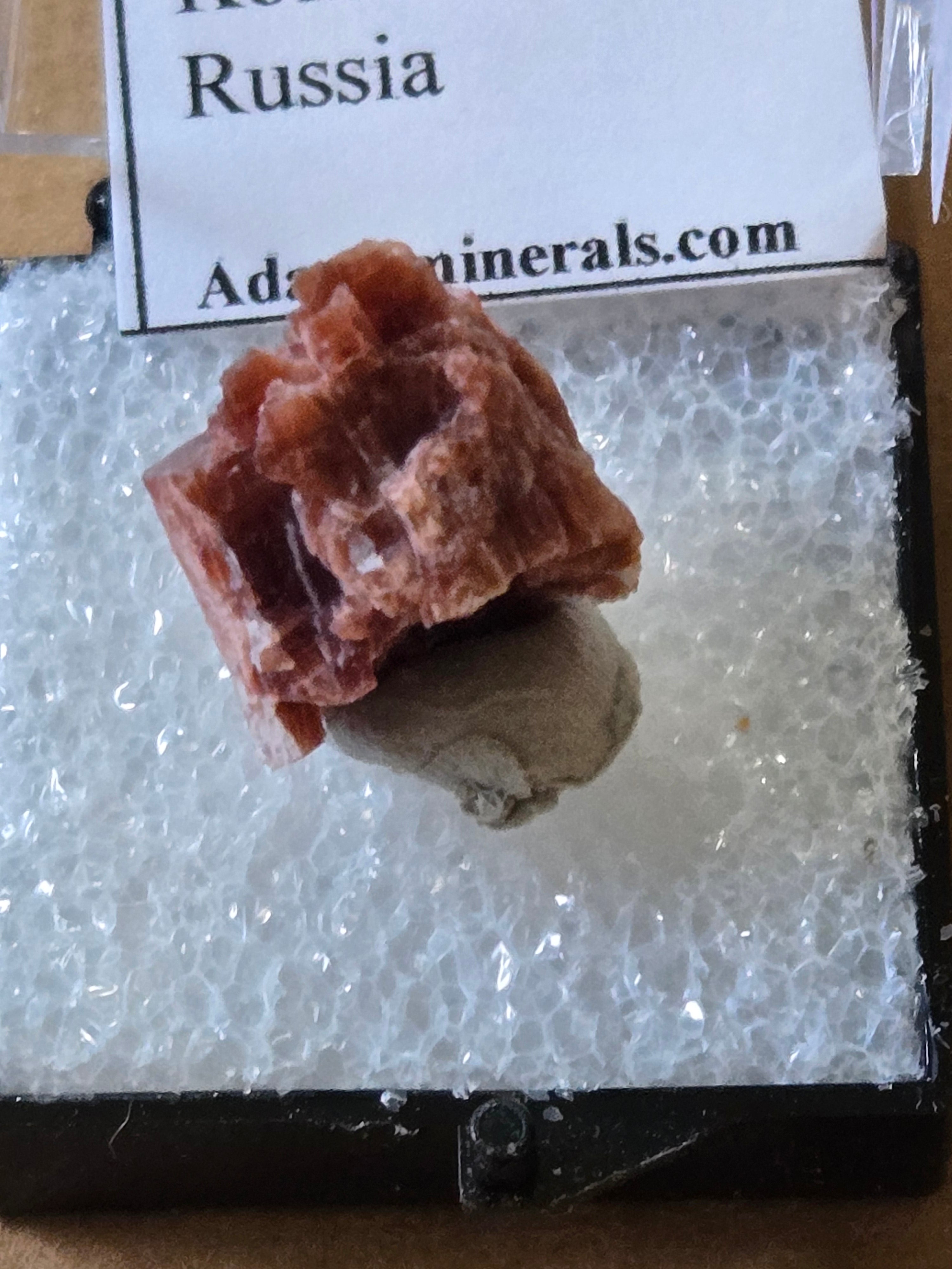 Eudialyte