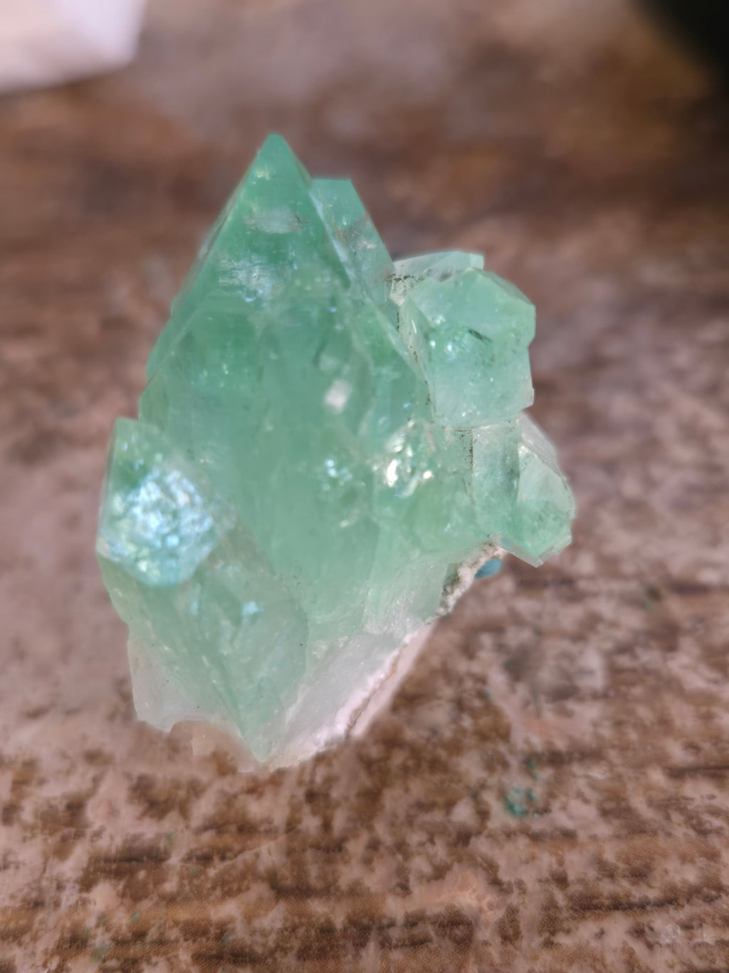 Fluorapophyllite