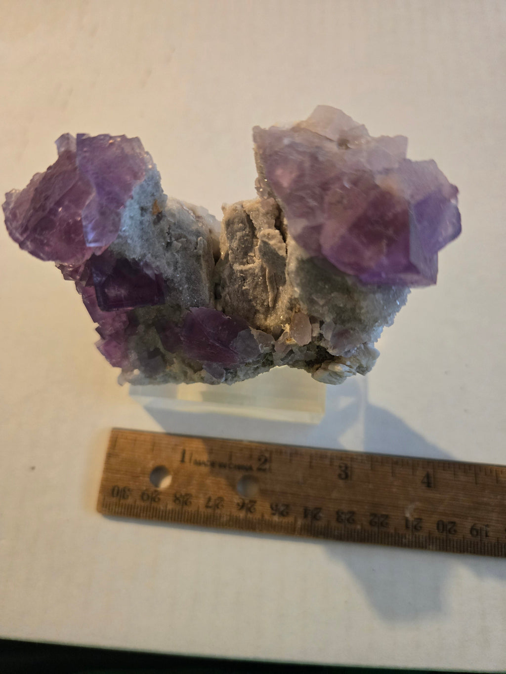 Fluorite Rabbit Ears