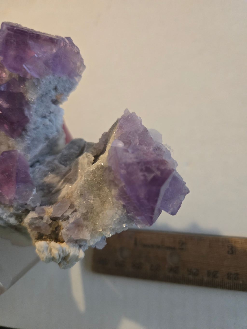 Fluorite Rabbit Ears