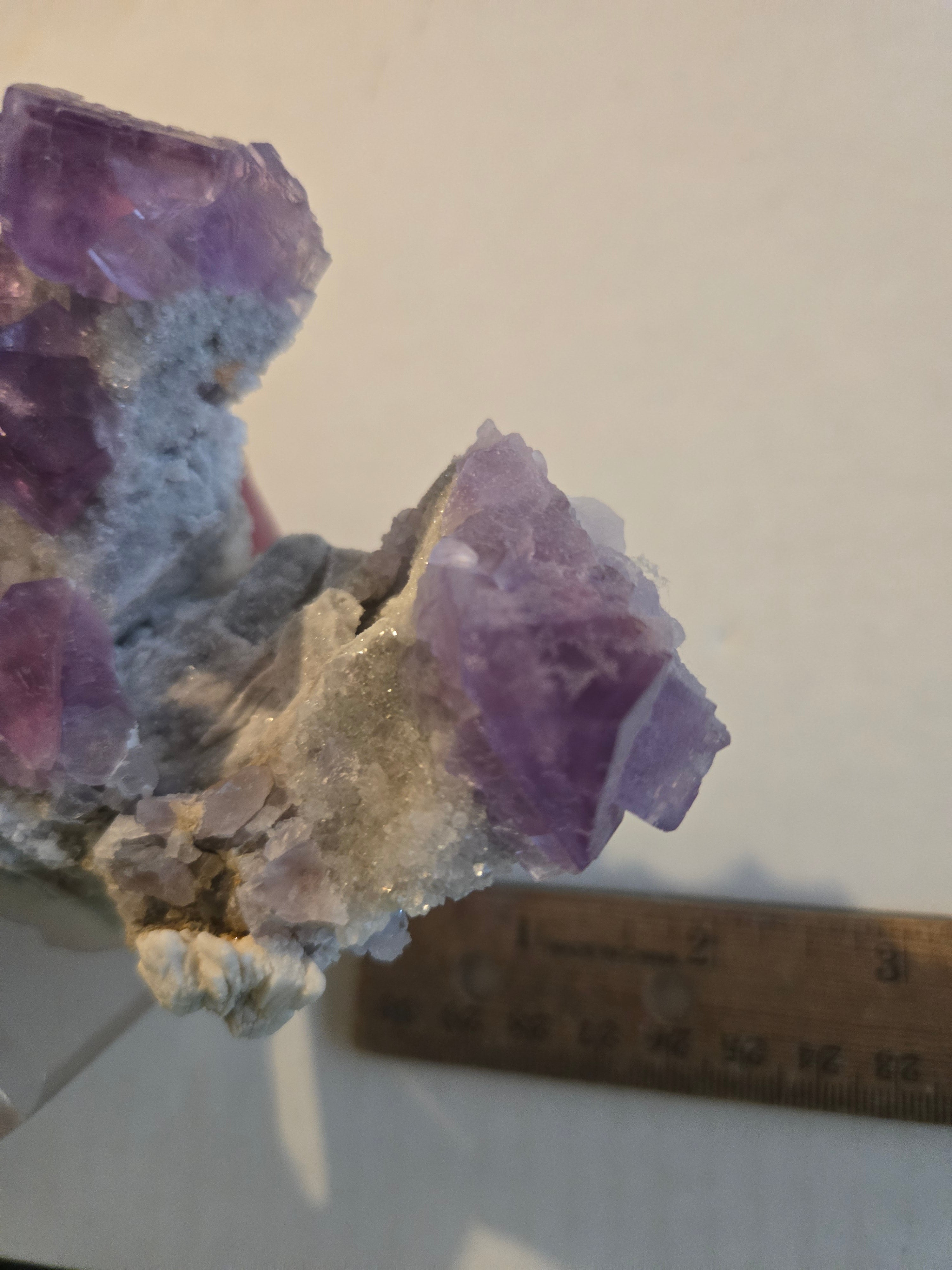 Fluorite Rabbit Ears