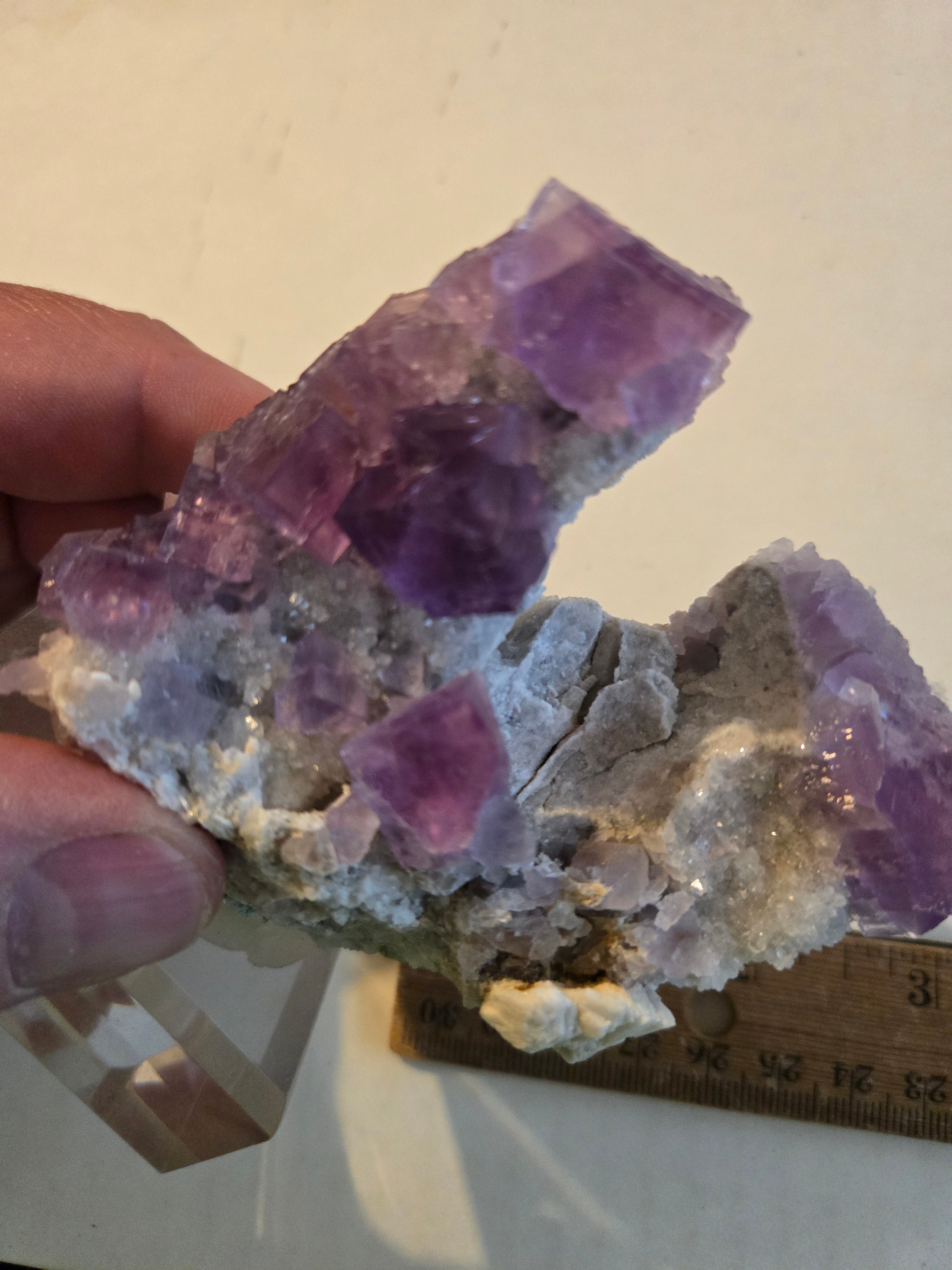 Fluorite Rabbit Ears