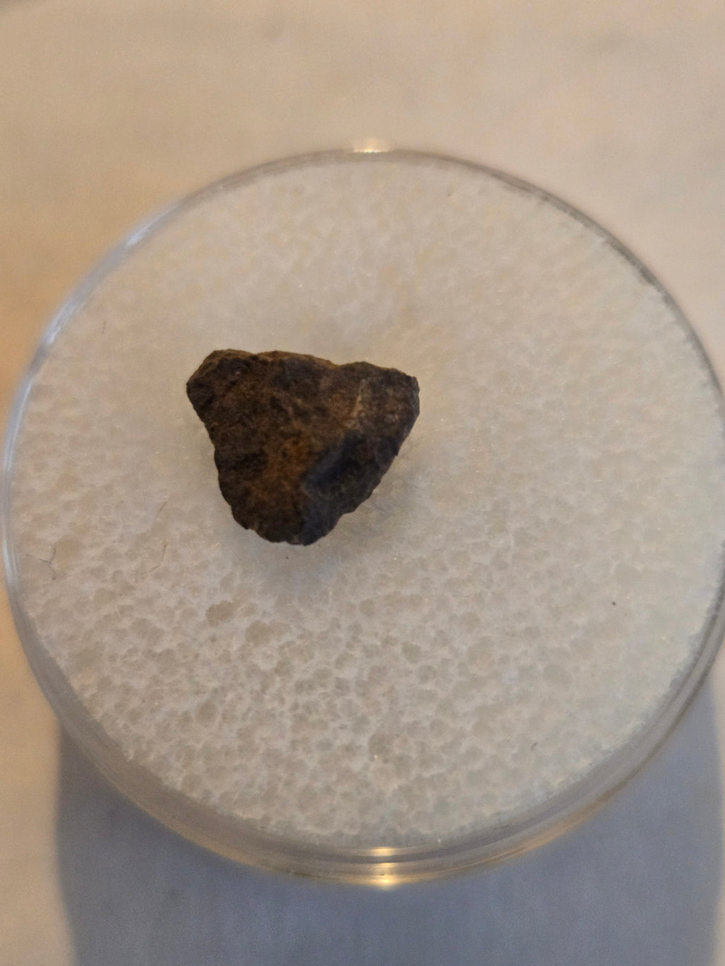 Forestburg meteorite Texas