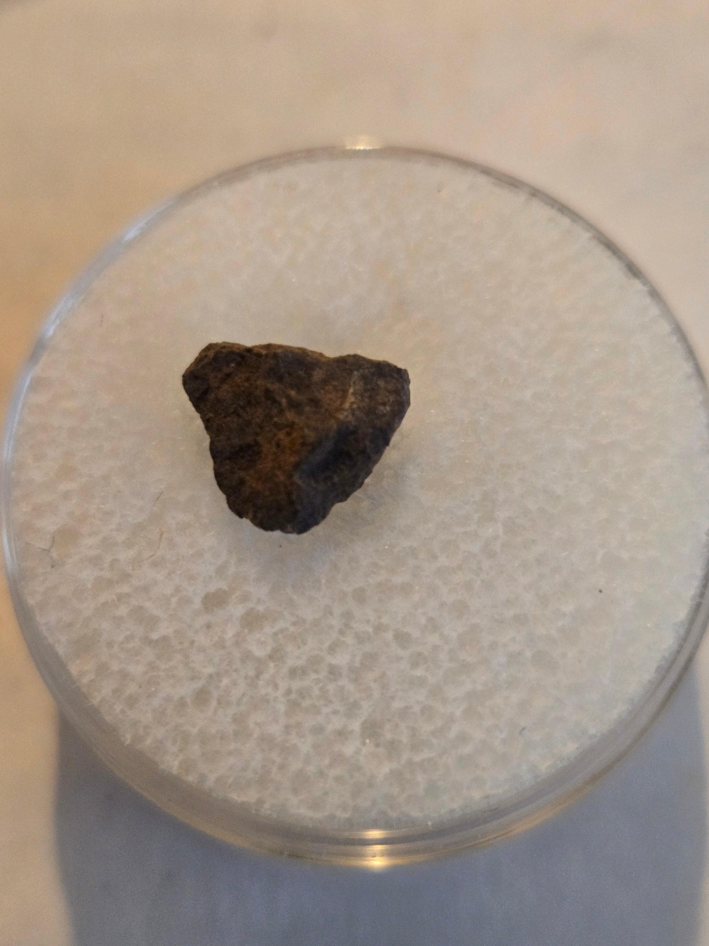 Forestburg meteorite Texas