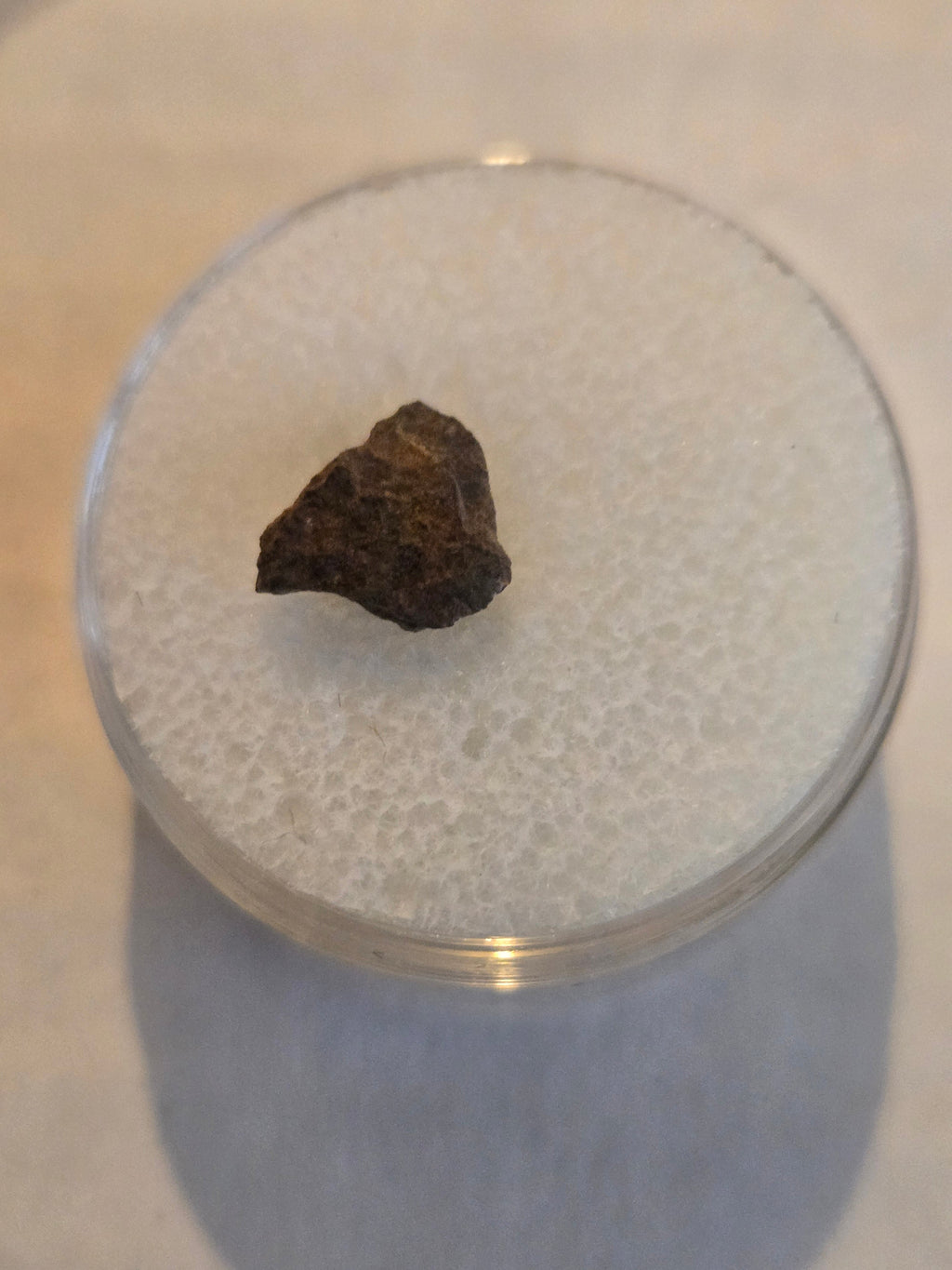 Forestburg meteorite Texas