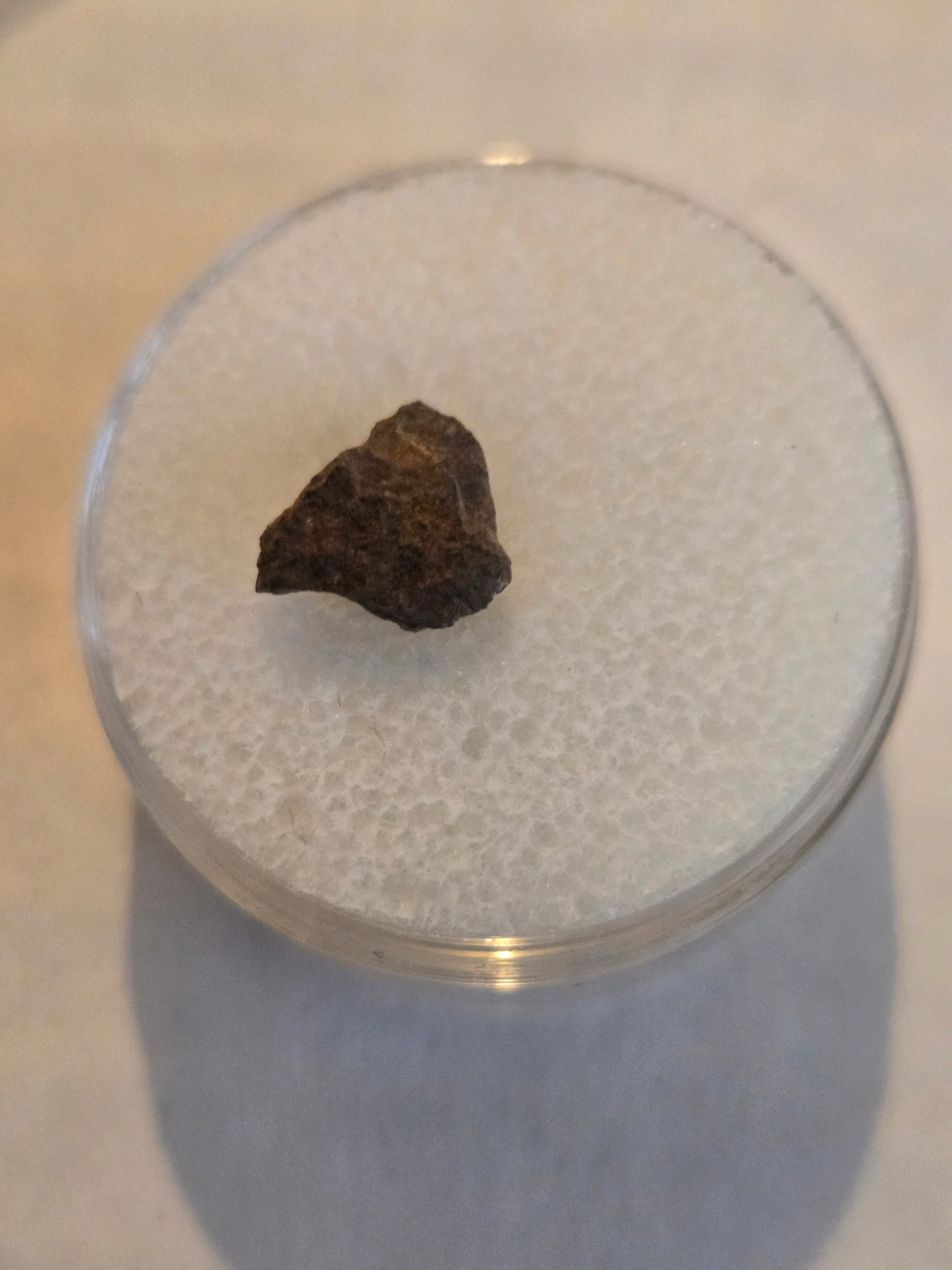 Forestburg meteorite Texas