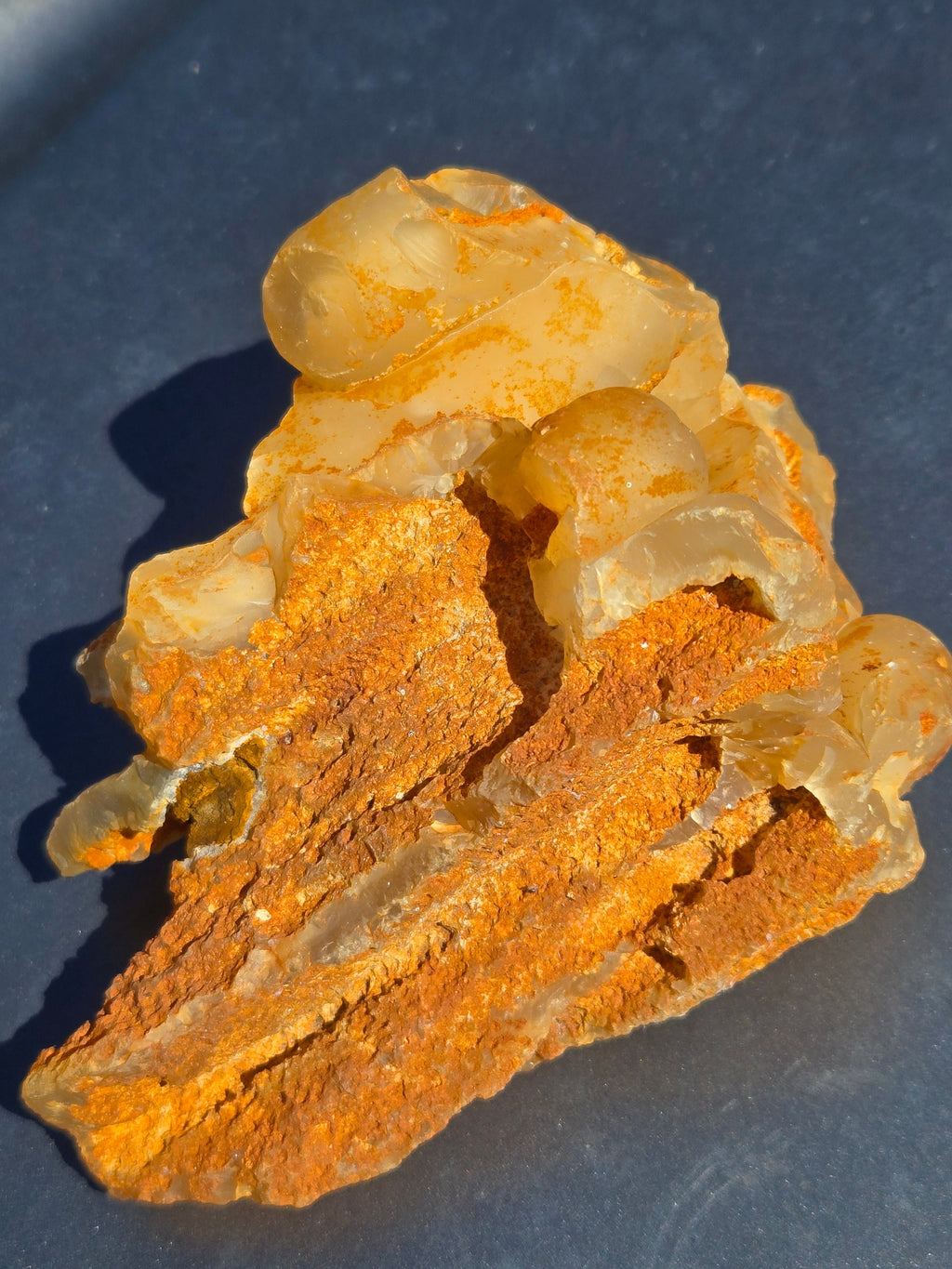 Fossil Bamboo