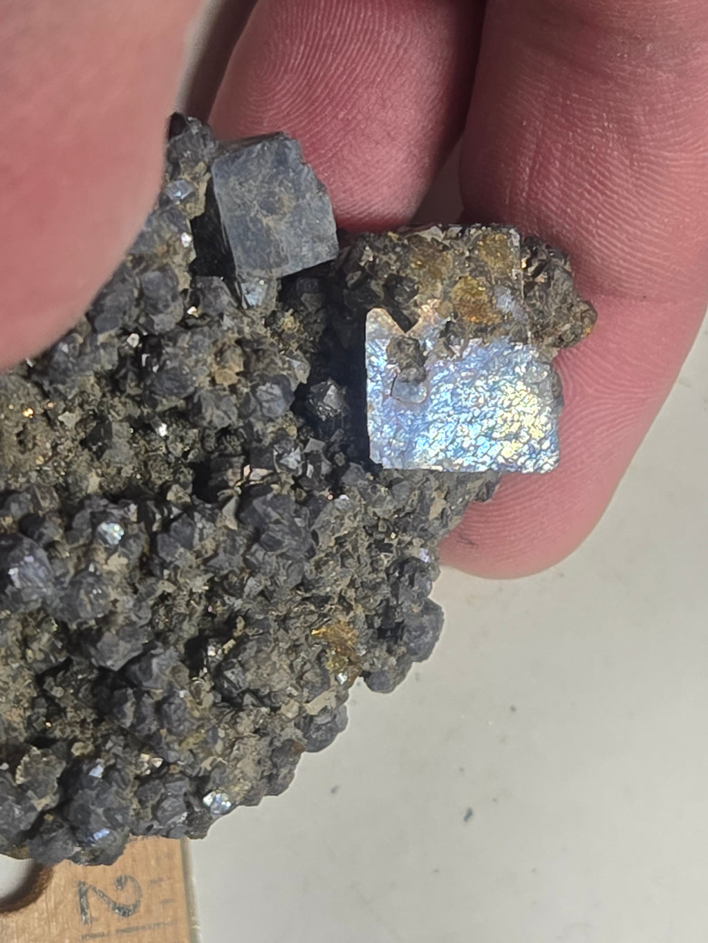 Galena and marcasite