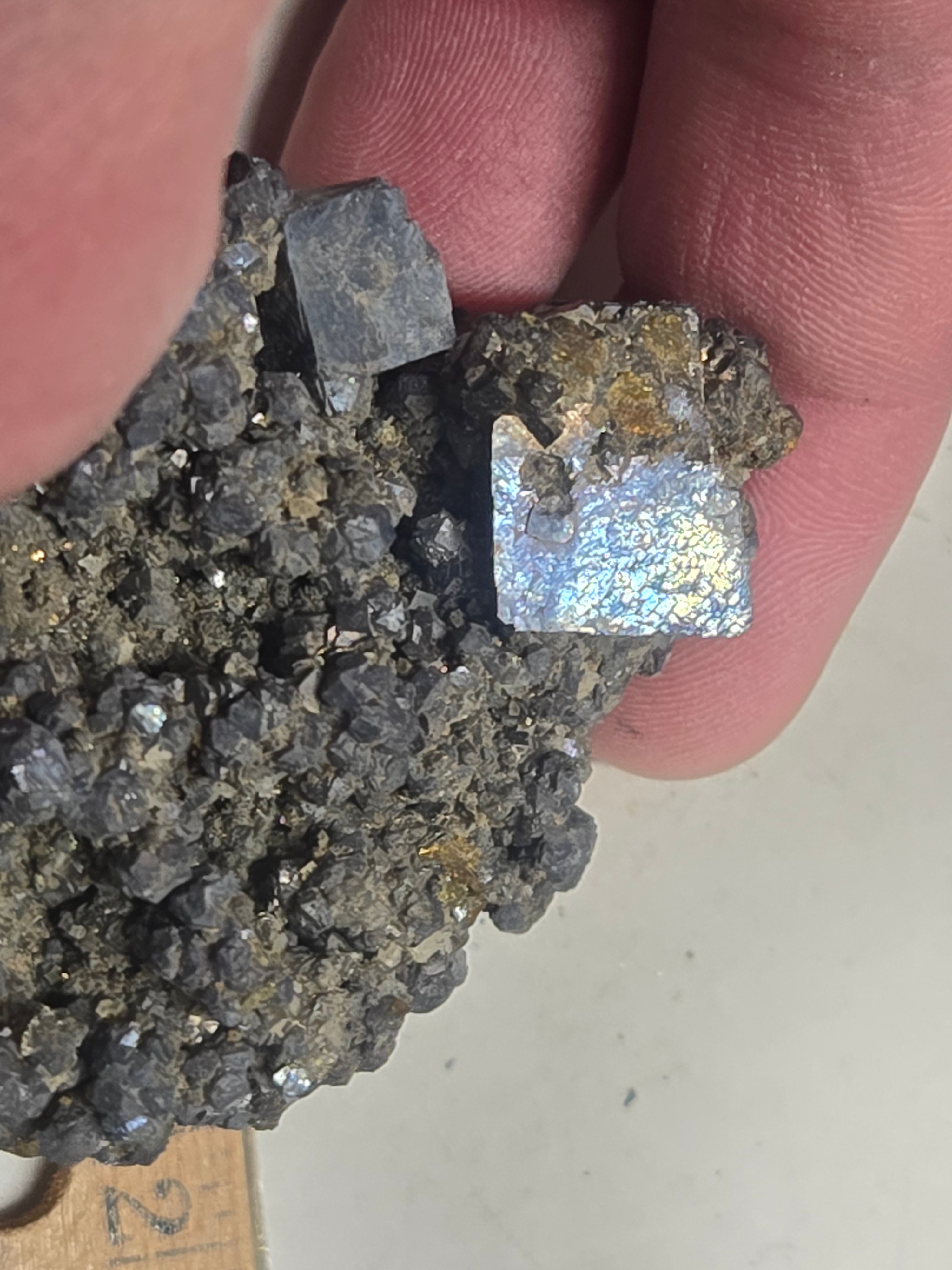 Galena and marcasite