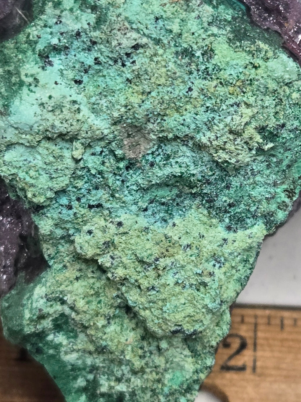 Gerhardtite,Atacamite and Cuprite from Tenke Mine