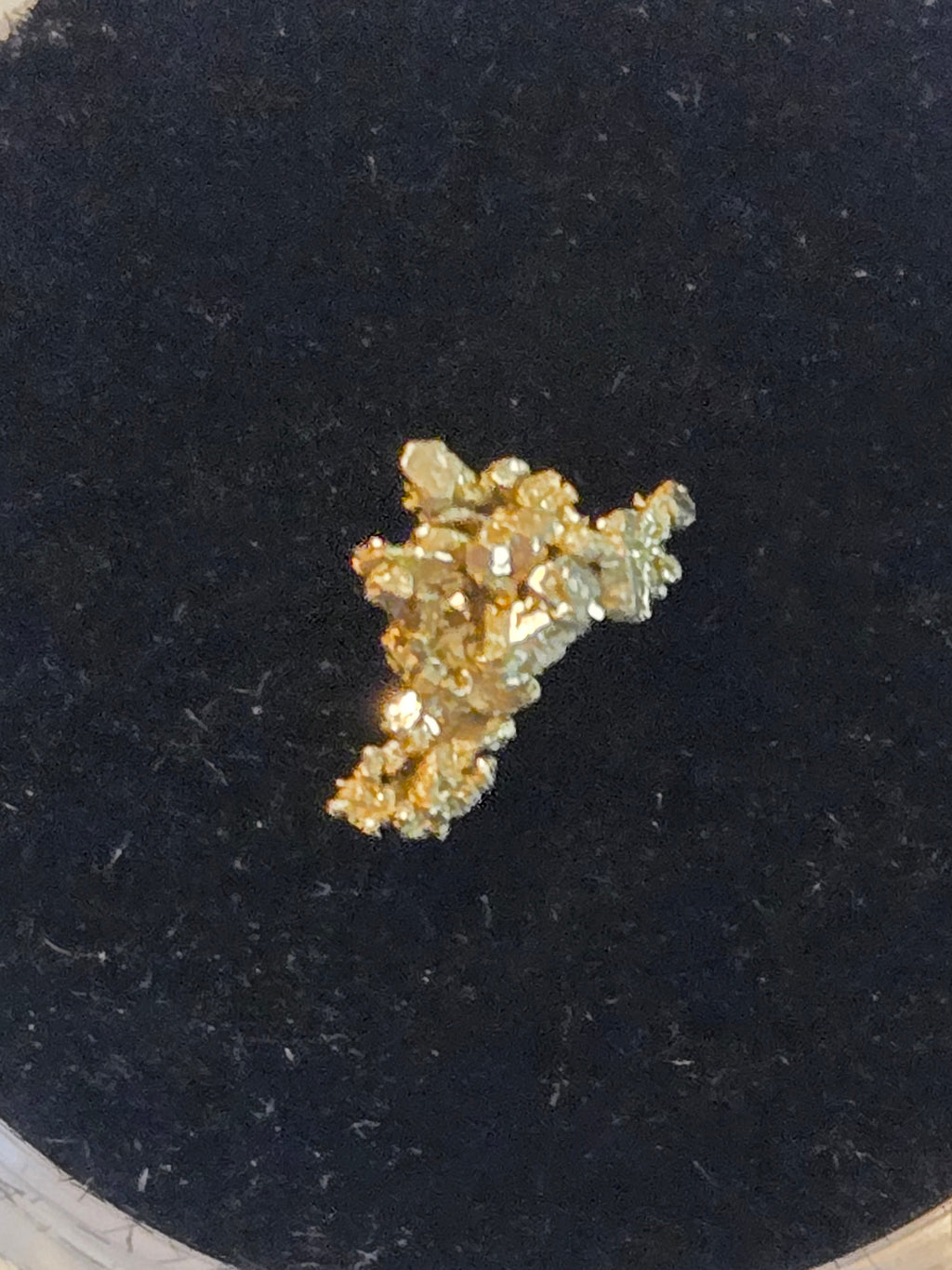 Gold