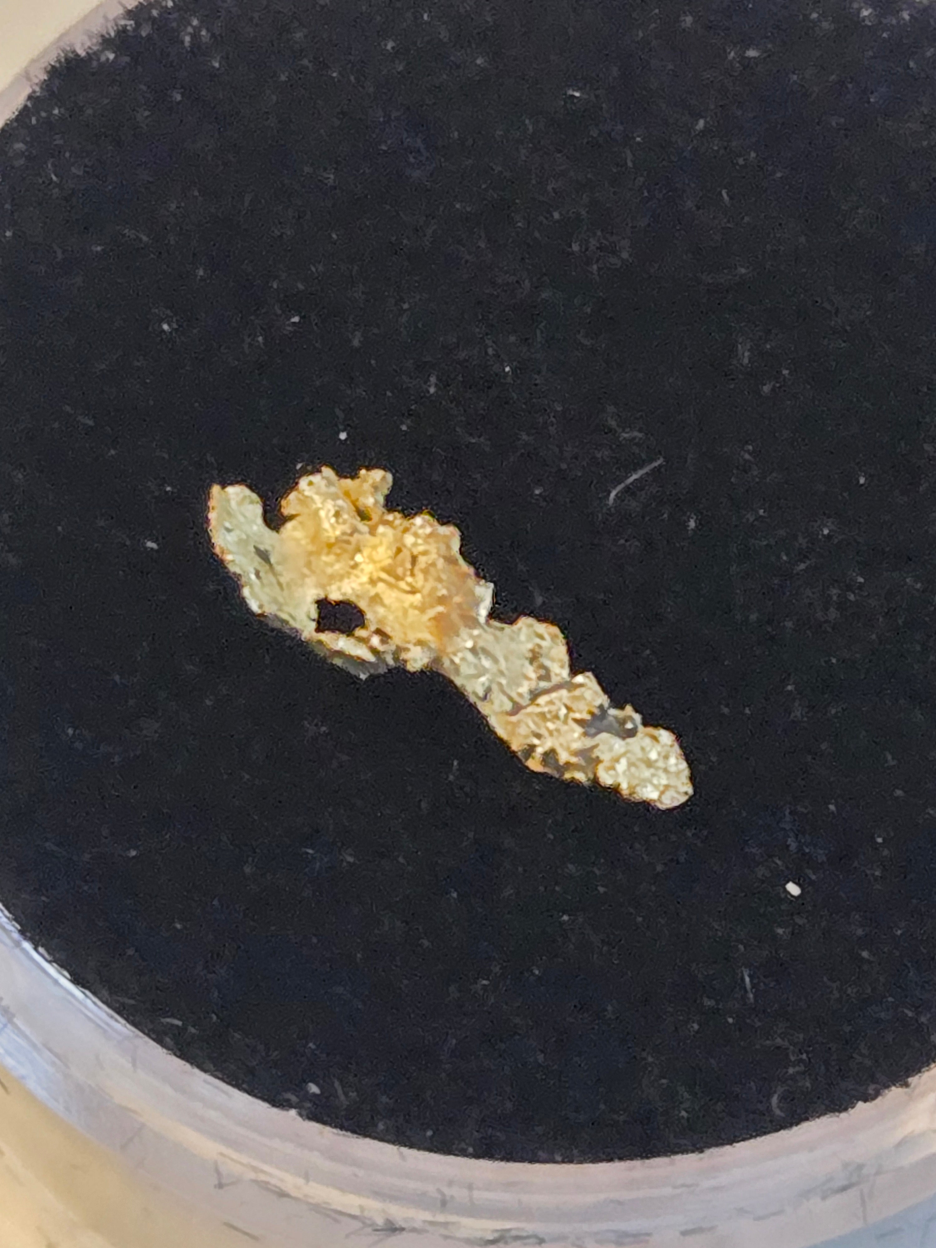 Gold