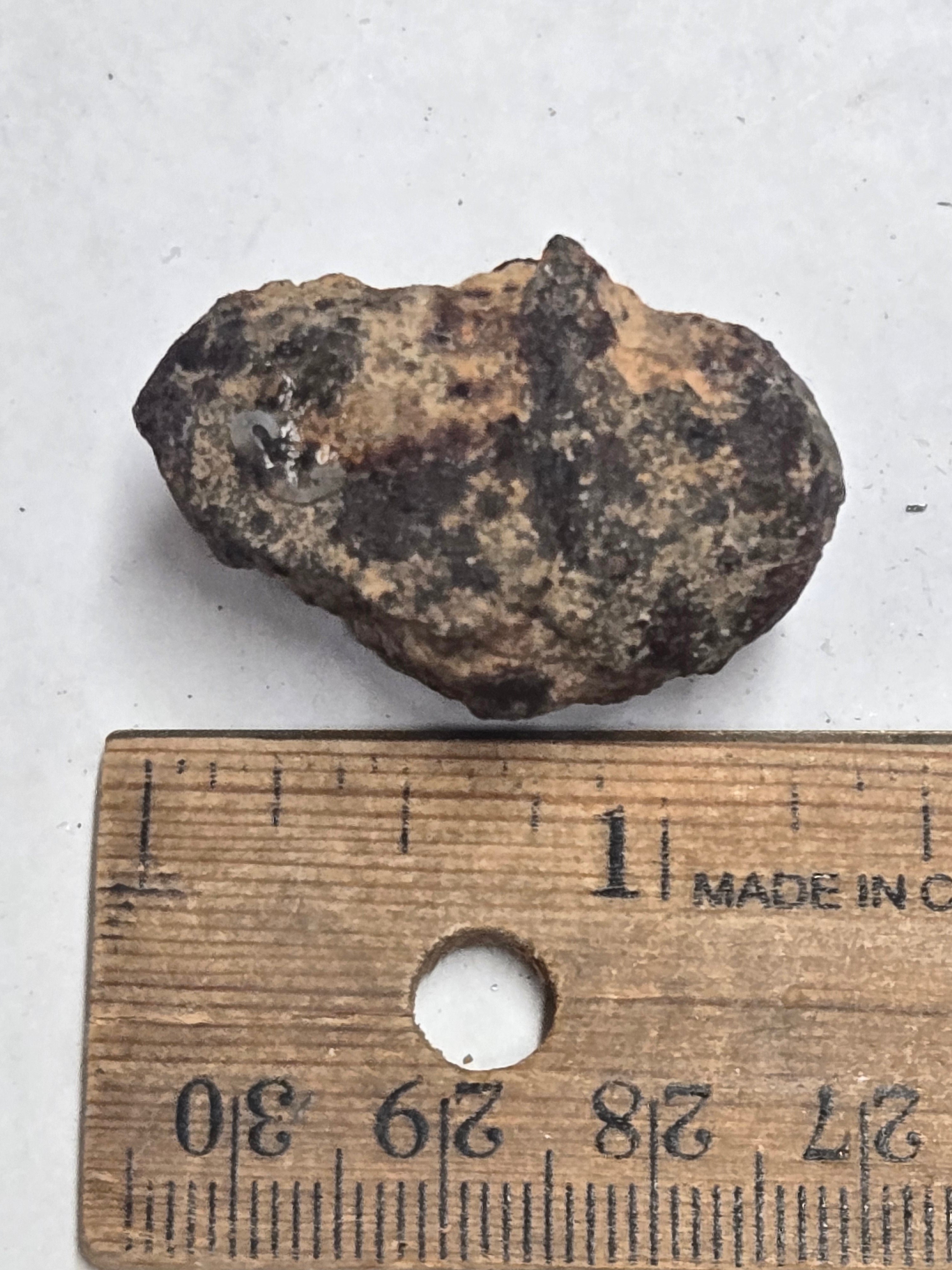 Gold Basin Meteorite