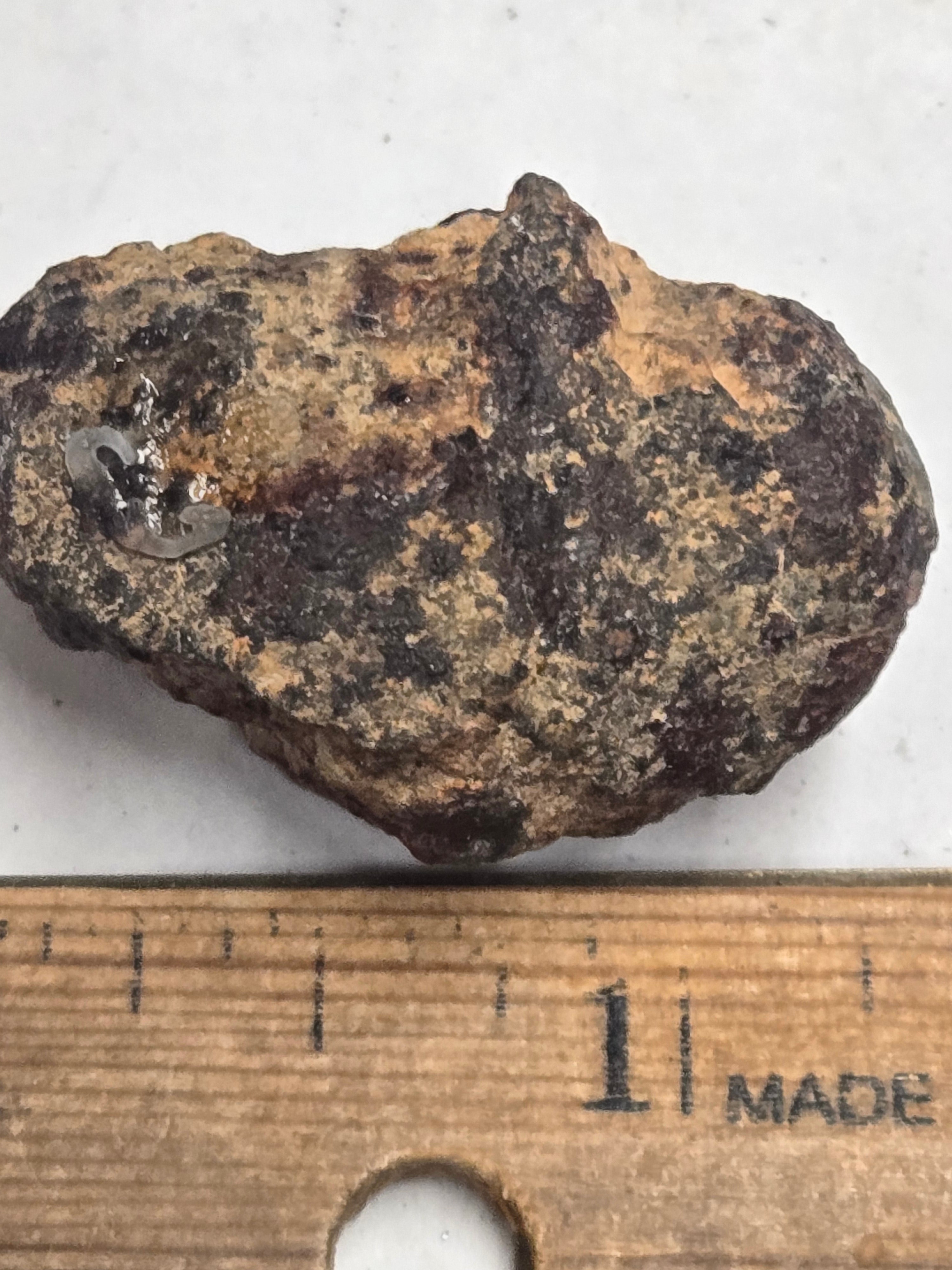 Gold Basin Meteorite