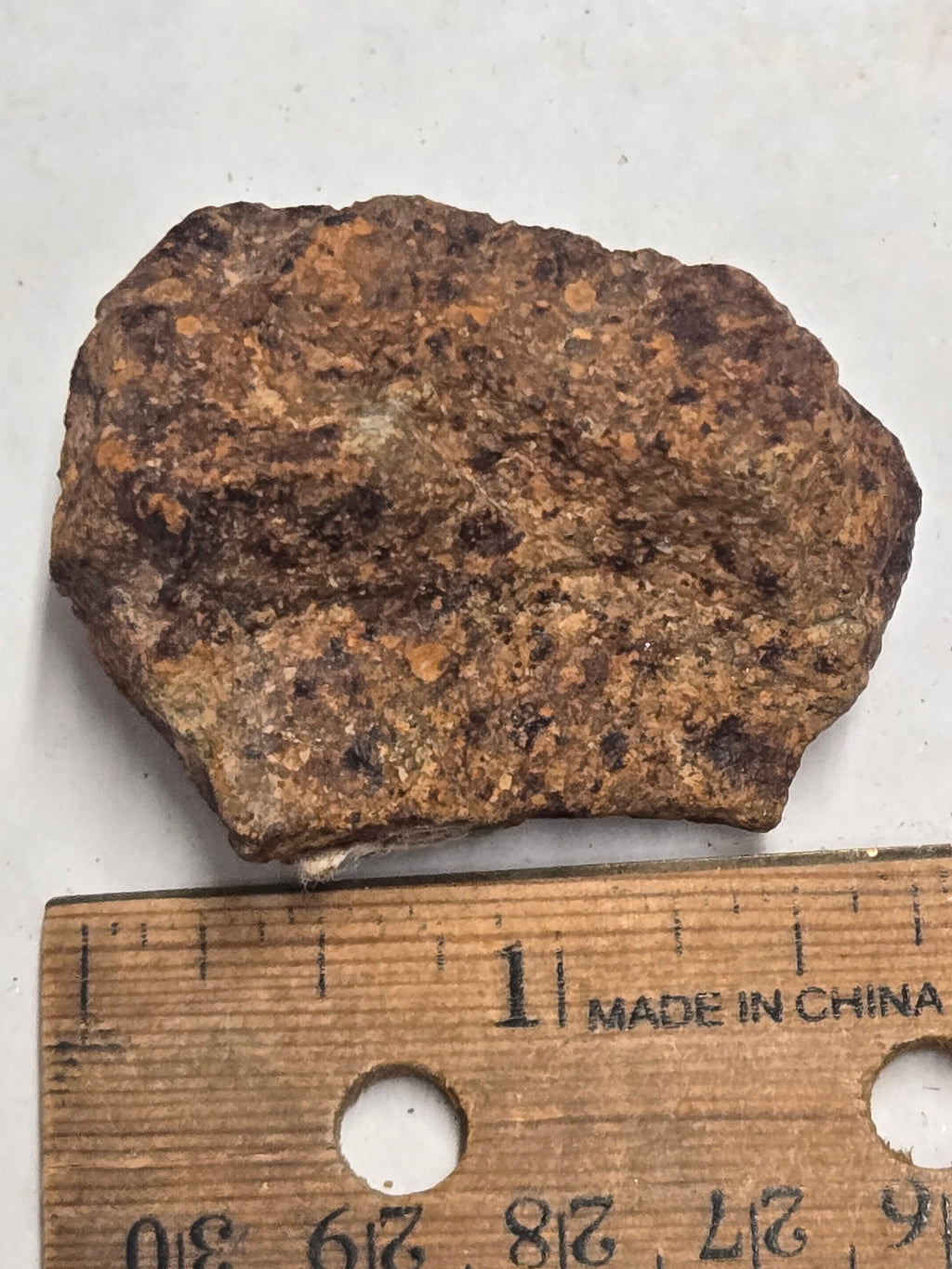 Gold Basin Meteorite specimen