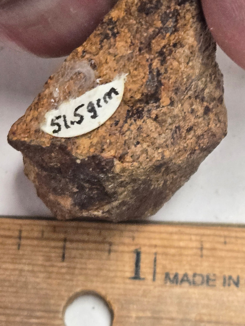 Gold Basin Meteorite specimen