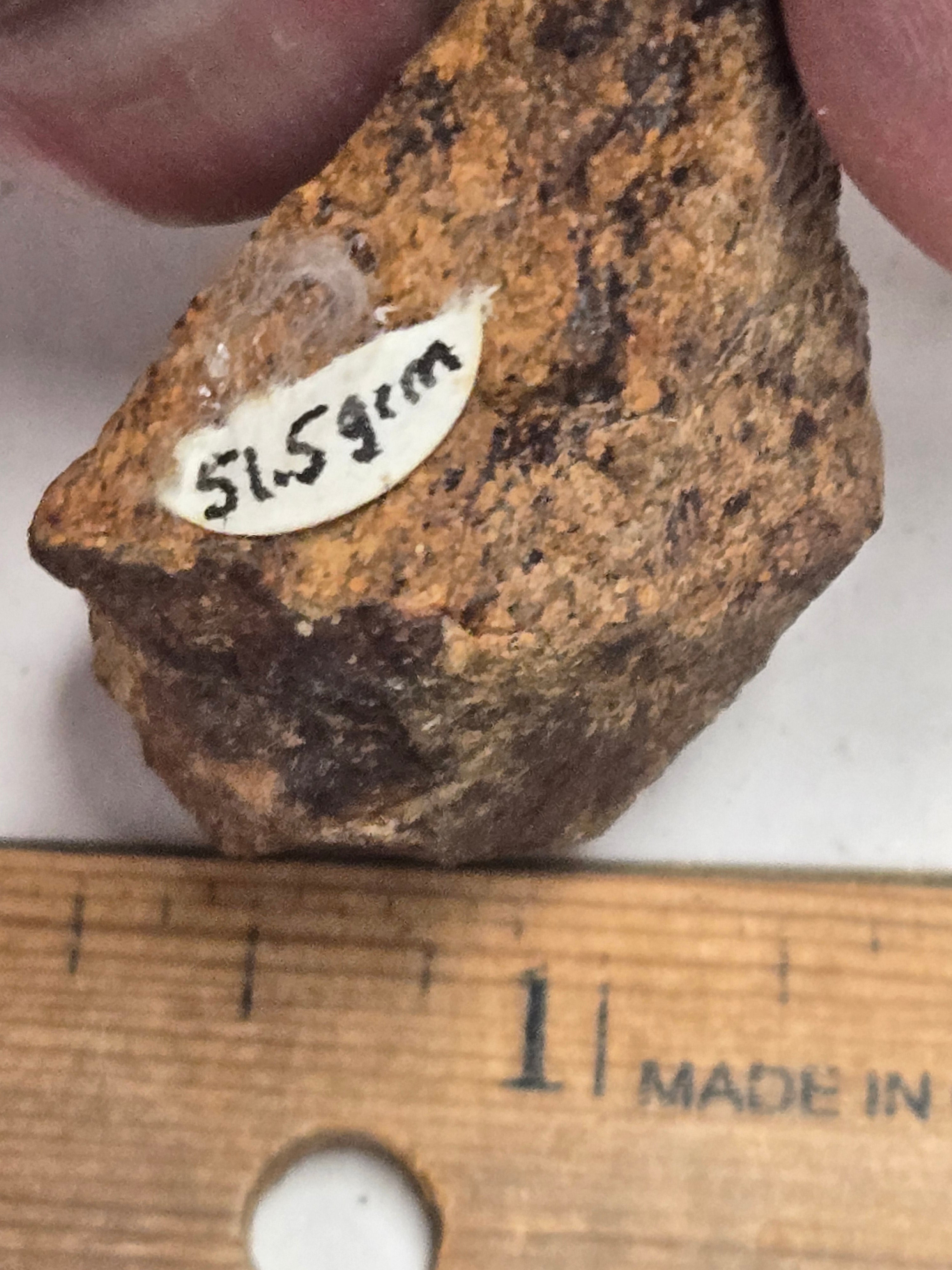 Gold Basin Meteorite specimen
